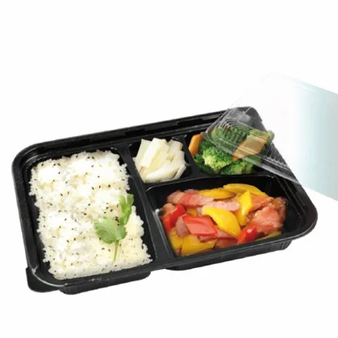 Recipienti Take Away Eco 24,2x18,2x4,5 cm Nero PP 50 sztuk