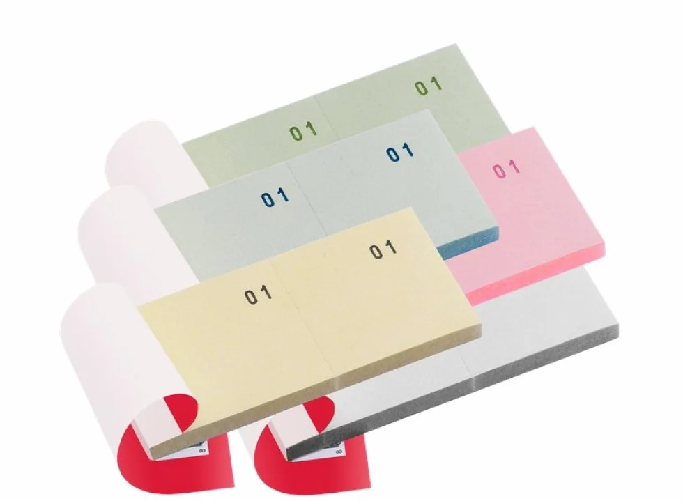 5 Blocchi Numerati 1-100 in Confezione 5 Colori Assortiti per Sorteggi Lotterie