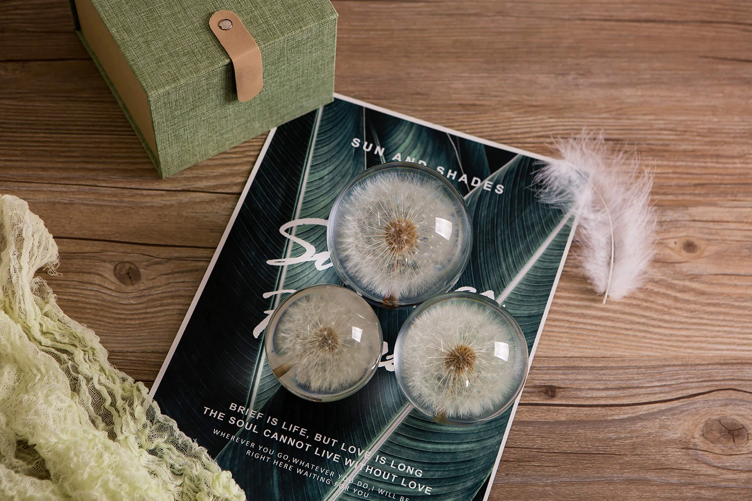 WEedsy Paperweight Dandelion Dream Ball. Palla di Cristallo dei Desideranti. Paperweight Unico Fatto di Dente di Leone. Il Regalo Perfetto. (9 cm) diametro-9cm
