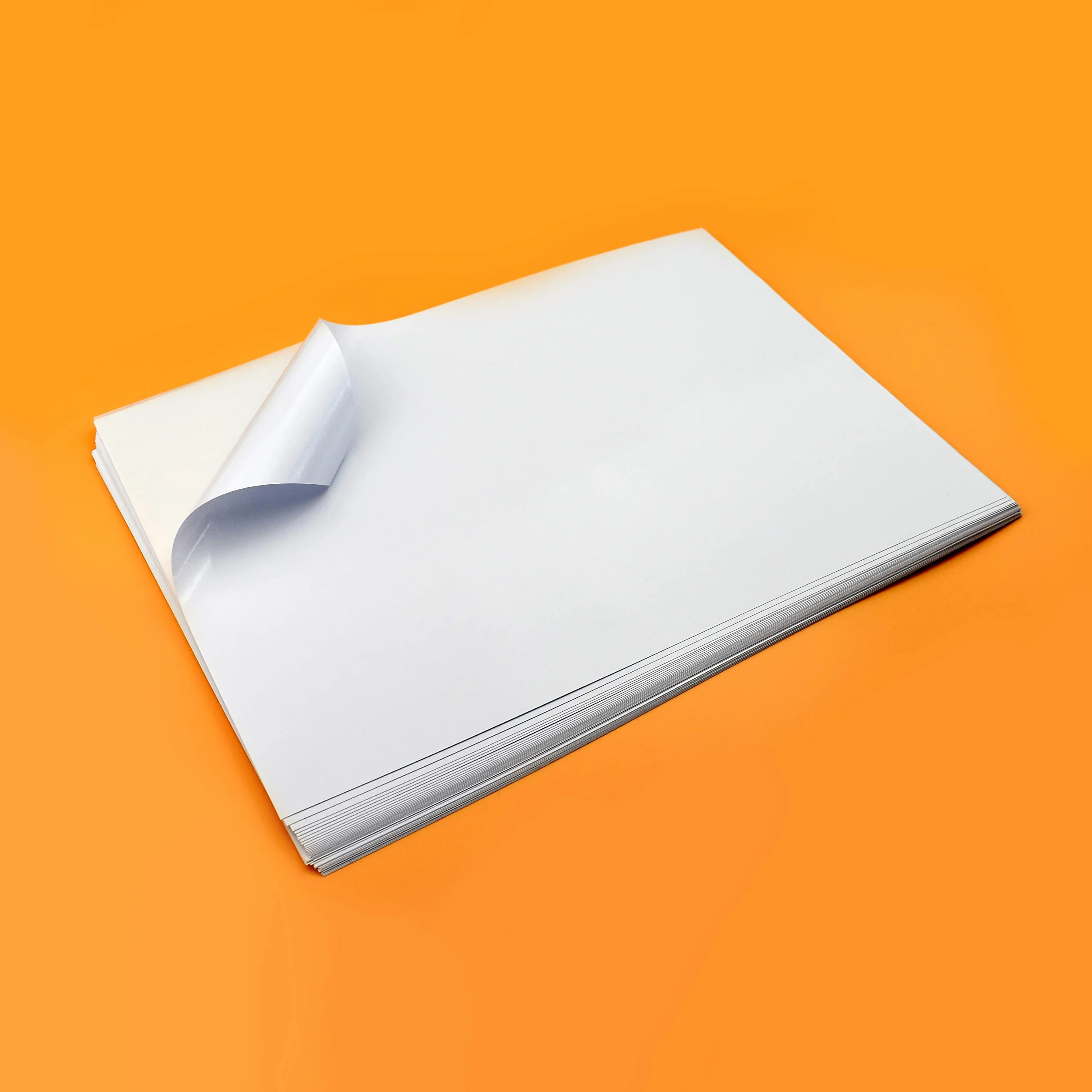Evergreen Goods 100 Fogli A3 Carta fotografica autoadesiva bianca lucida | Carta adesiva stampabile a getto d'inchiostro e laser | carta lucida per la creazione di cartelli, etichette e adesivi