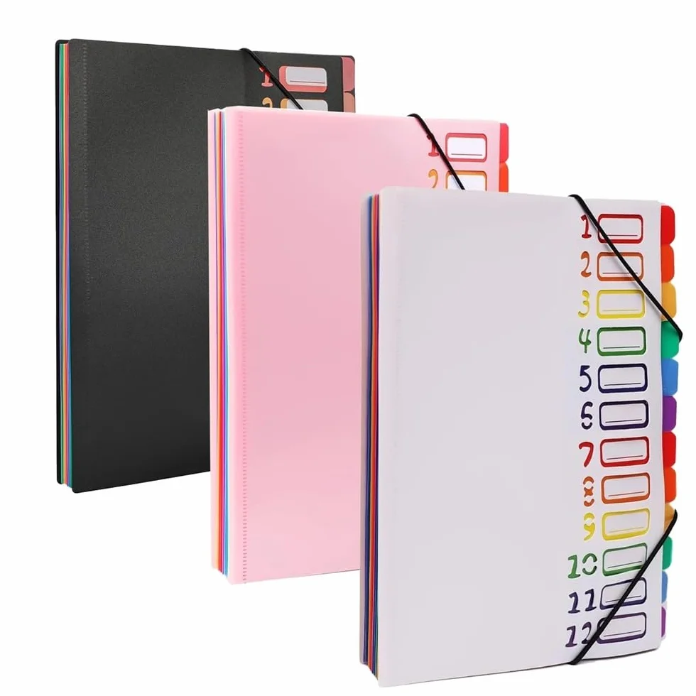 Cartelle Formato A4 Lettera, Organizer for cartelle espandibili in plastica mensile Resistente con 12 Tasche espandibili per l'archiviazione e l'organizzazione Quotidiana(Nero)