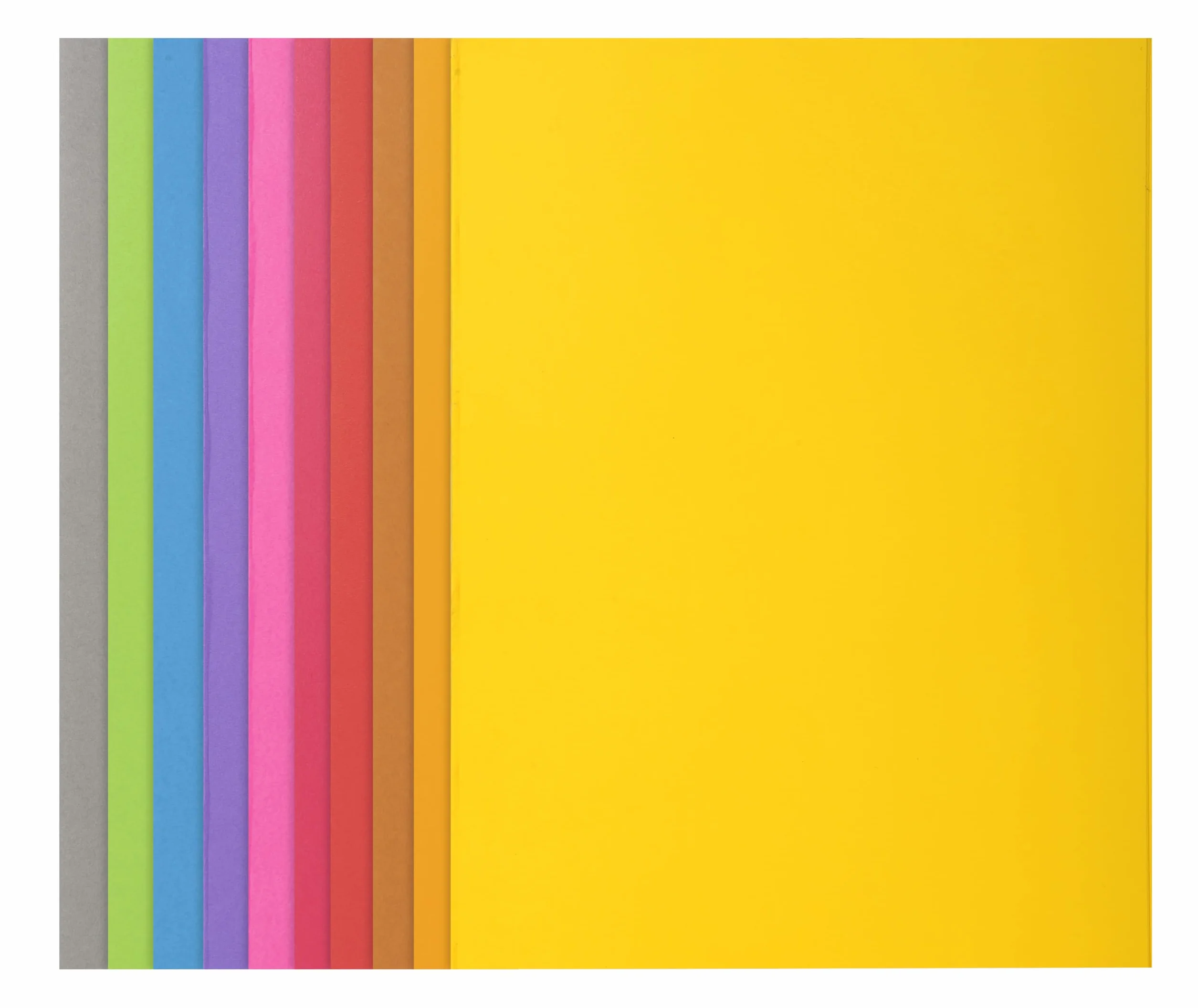 Exacompta 55545E Cartelle Semplici, 24x32 + 22x31 cm, Multicolore