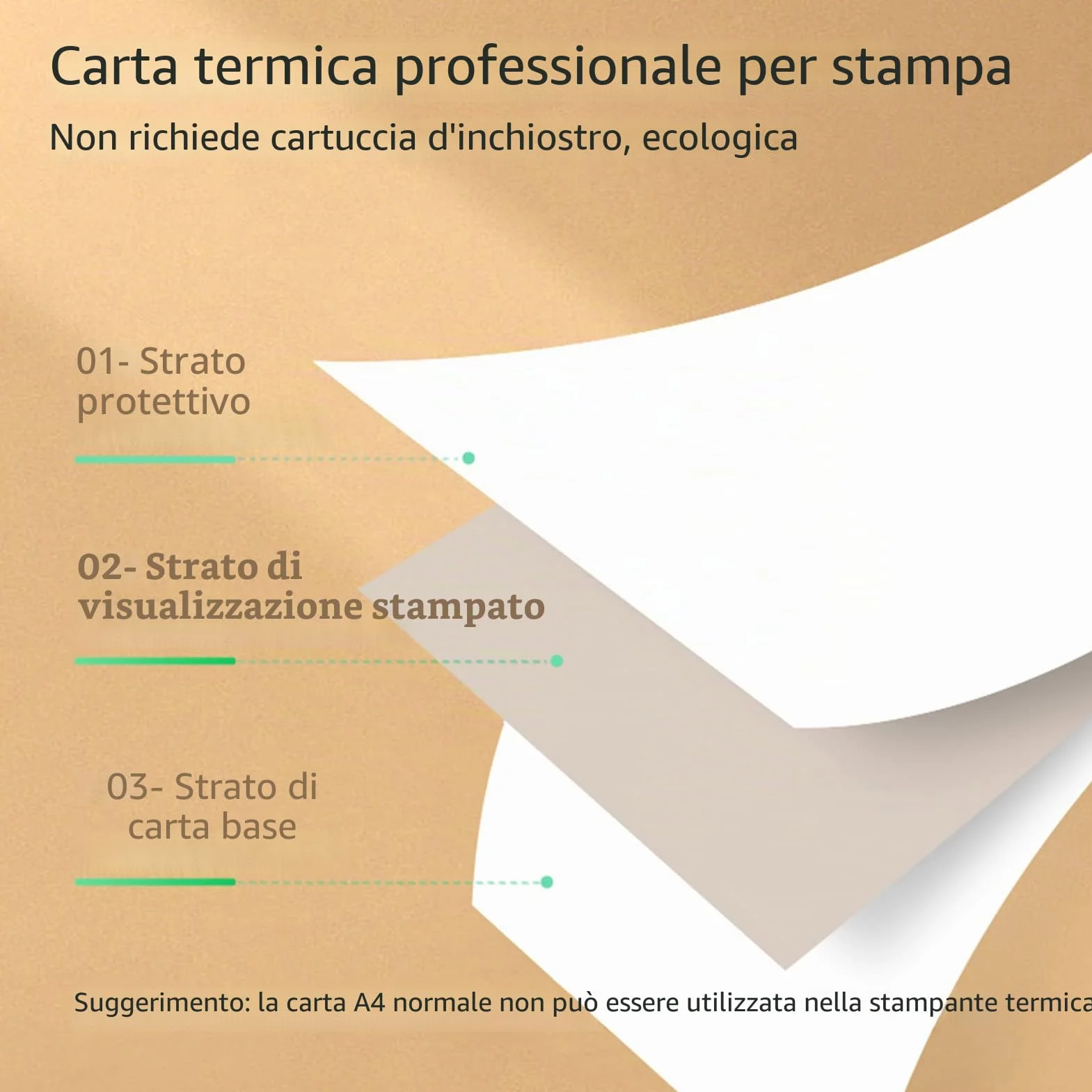 Bisofice 10 Rotoli Carta Termica A4, Compatibile con tutte le Stampante Termica Portatile, Senza BPA, per Foto Ricevute Memo File, Circa 22 fogli/rotolo