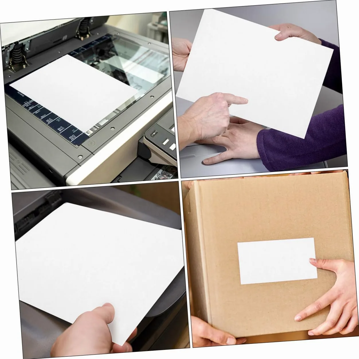 Etichette Adesive Stampabili 100 Fogli Carta Termosensibile Autoadesiva per Stampante Laser e Inkjet Applicazione Ufficio e Prezzo