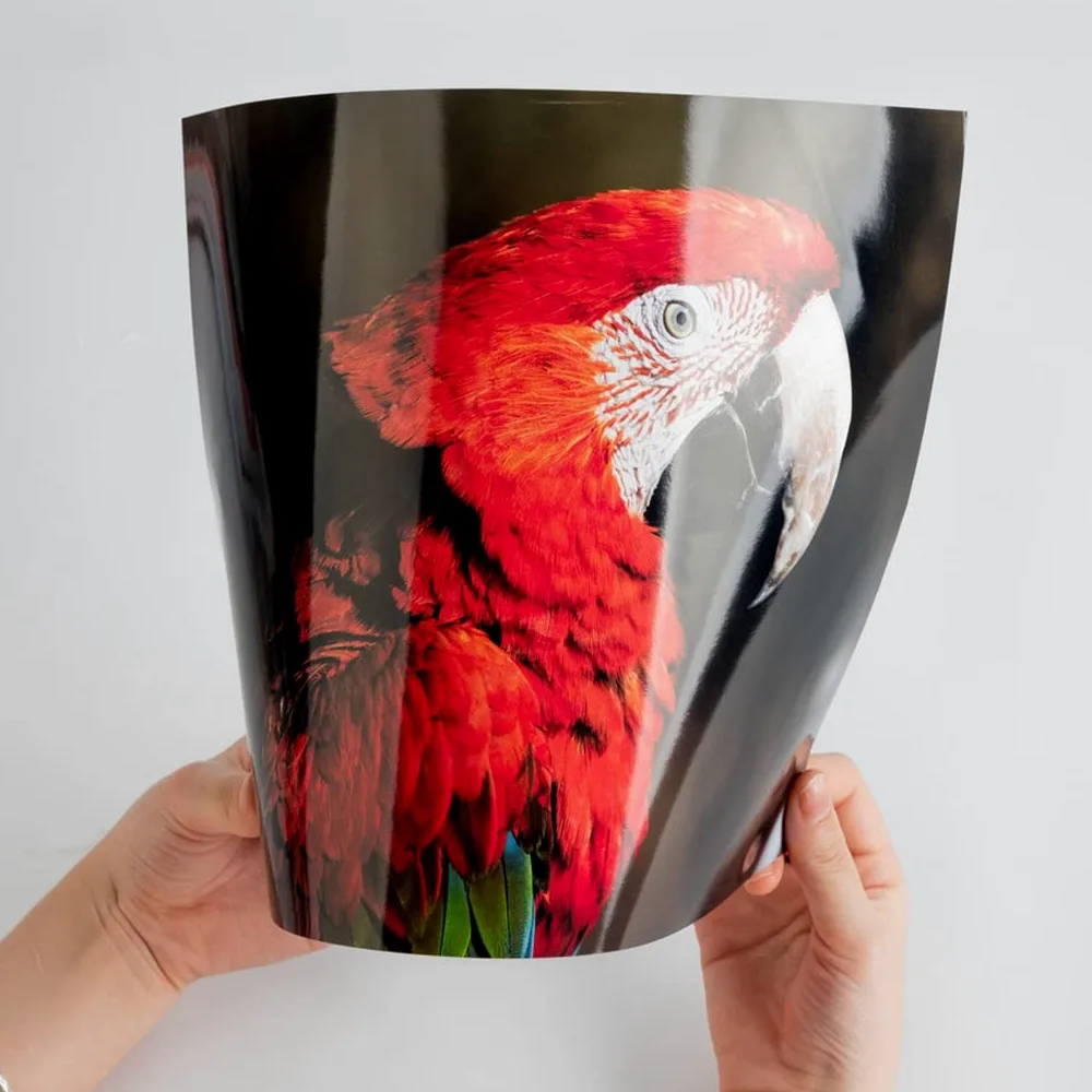 A4 300gsm Carta Fotografica Spessa da - 100 Fogli con Superficie Lucida per Stampe di Foto, Biglietti di Auguri, Cartoline