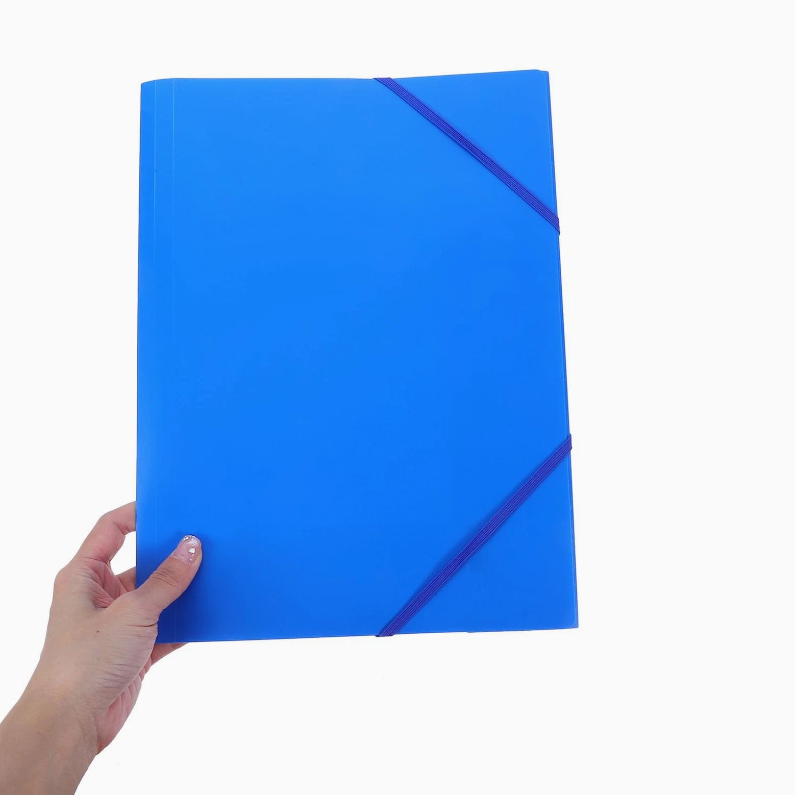 Cartella Portadocumenti in Plastica A4 con Elastico Custodia Pieghevole Resistente e Portatile Set da 10 Pezzi per Ufficio Scuola Viaggi e Uso Quotidiano