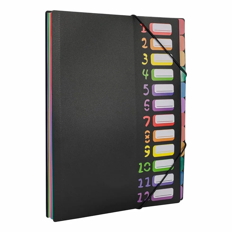 Cartelle Formato A4 Lettera, Organizer for cartelle espandibili in plastica mensile Resistente con 12 Tasche espandibili per l'archiviazione e l'organizzazione Quotidiana(Nero)