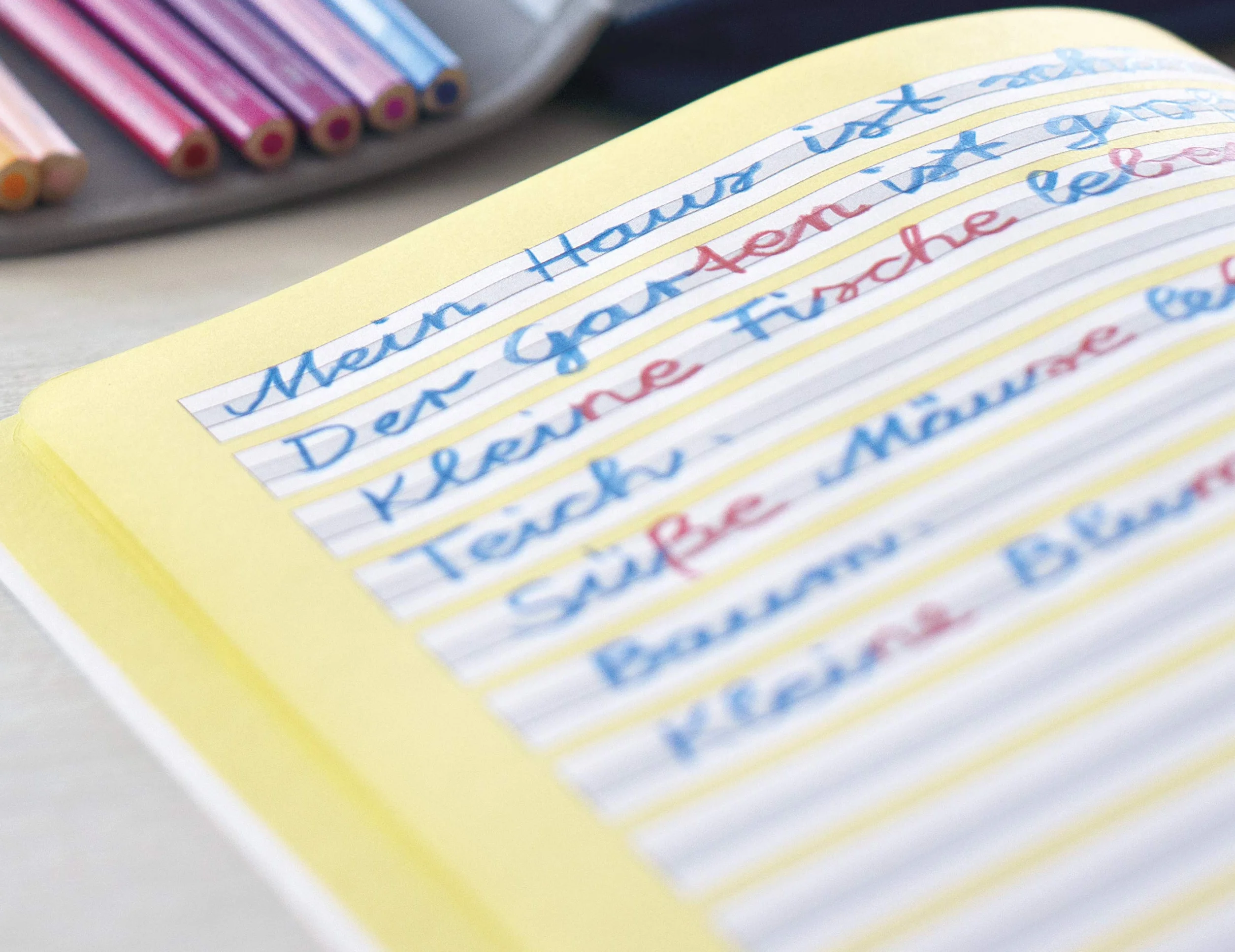 FABER-CASTELL Jumbo Grip bicolore matita per separare le sillabe, 2 matite, rosso e blu