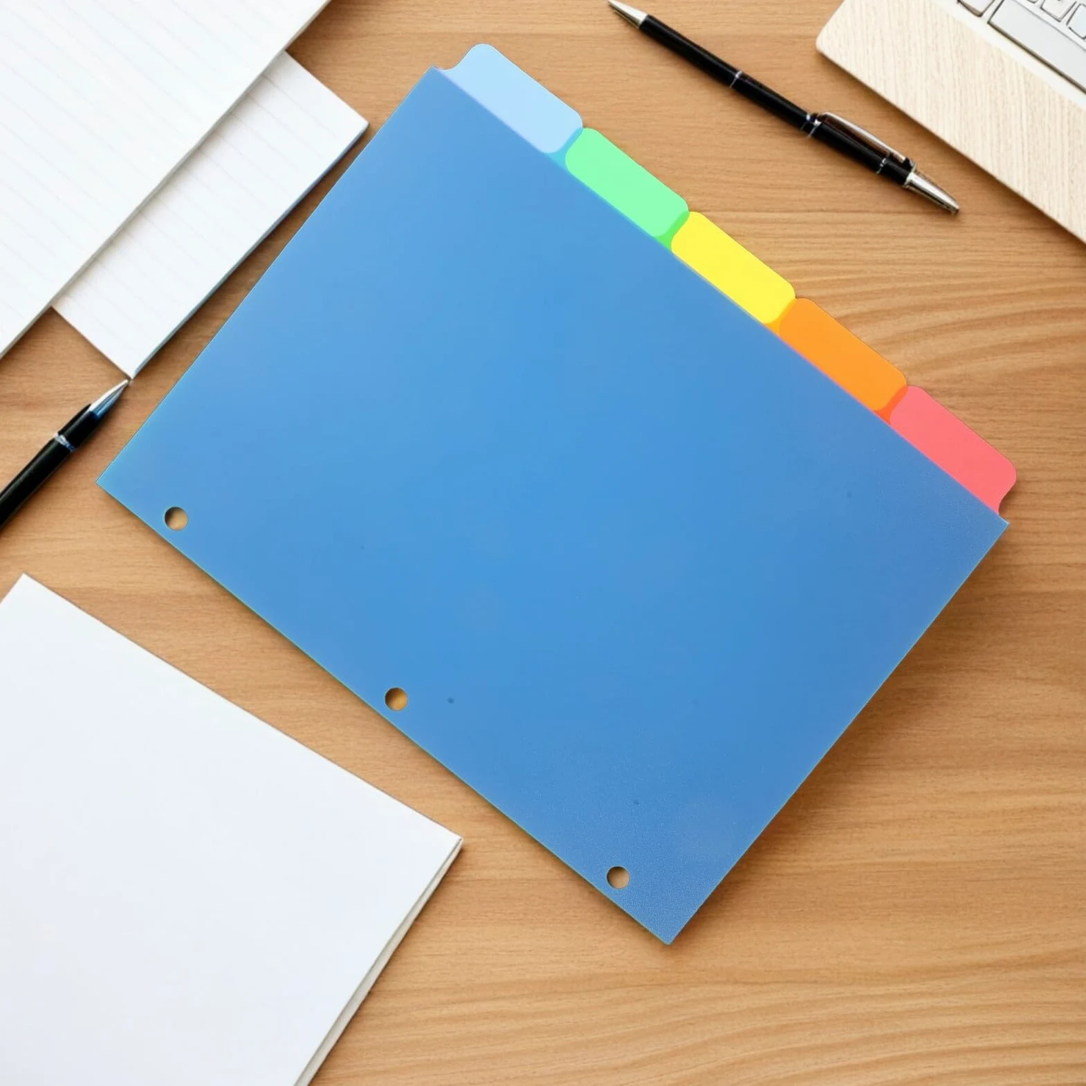 20pezzi Raccoglitore ad Anelli con Divisori in Plastica Linguette Scrivibili Vuote Divisori per Mobili Organizer per Scuola Ufficio e Aula