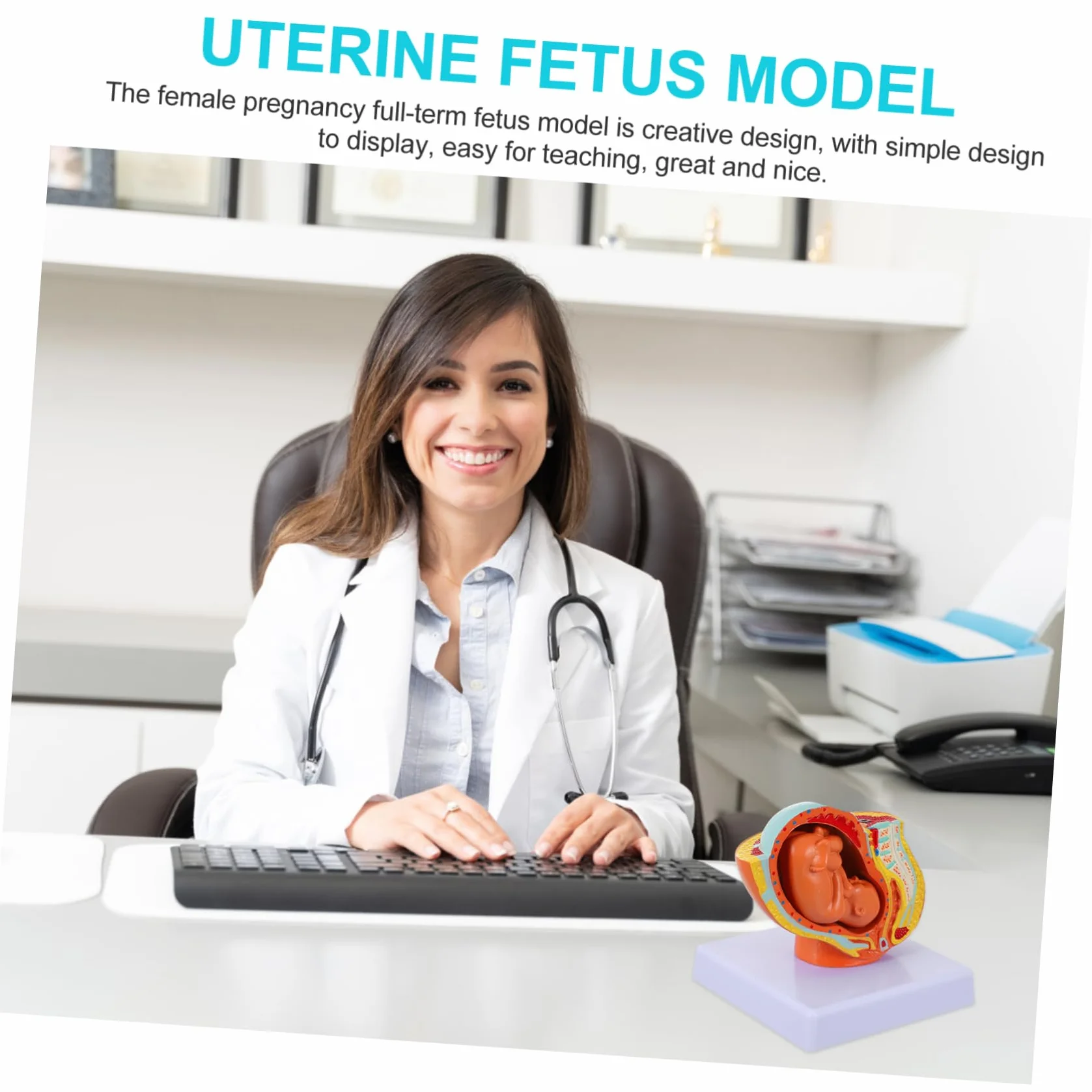 Amosfun Modello Fetale a Termine in Utero Femminile in PVC, 9 Mesi, per Insegnamento in Scuole di Fisiologia, Studenti