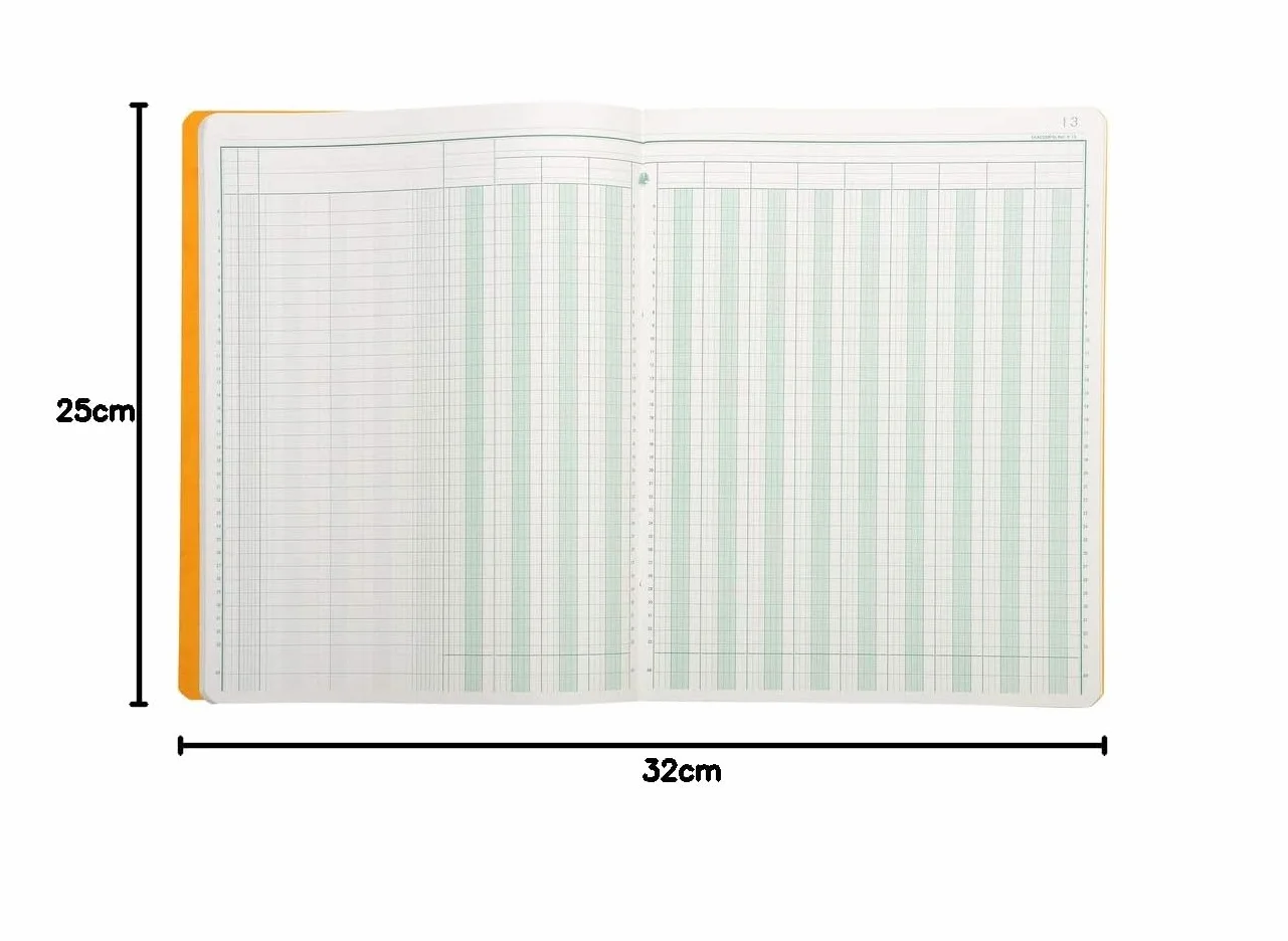 Exacompta - Rif. 4130E - 1 puntura a 13 colonne su 2 pagine, 33 righe, 80 pagine fogliate, formato 320 x 250 mm, copertina in carta lucida certificata FSC, 4 colori casuali, giallo, blu, rosso, verde