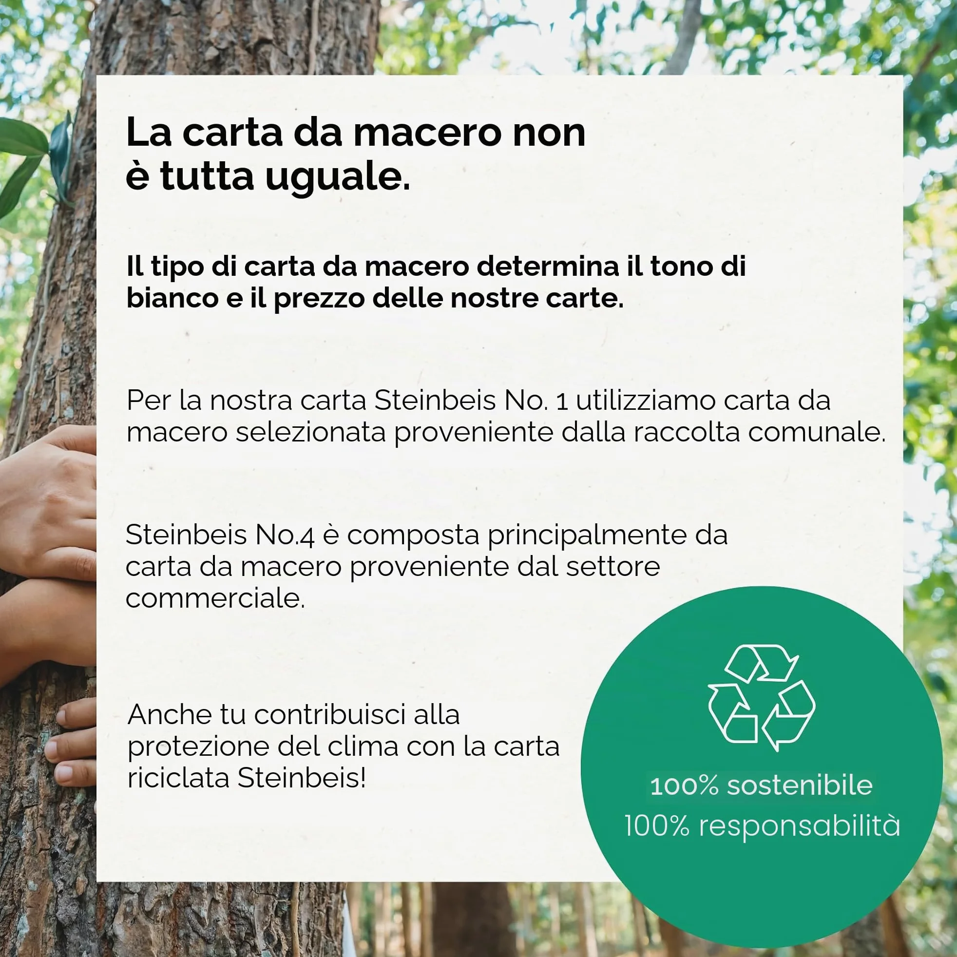 Steinbeis No. 1 carta per stampante – 2500 (5 x 500) fogli DIN A4 da 80 g/m², bianco e senza cloro, carta per fotocopiatrici di alta qualità ISO 70/CIE 55