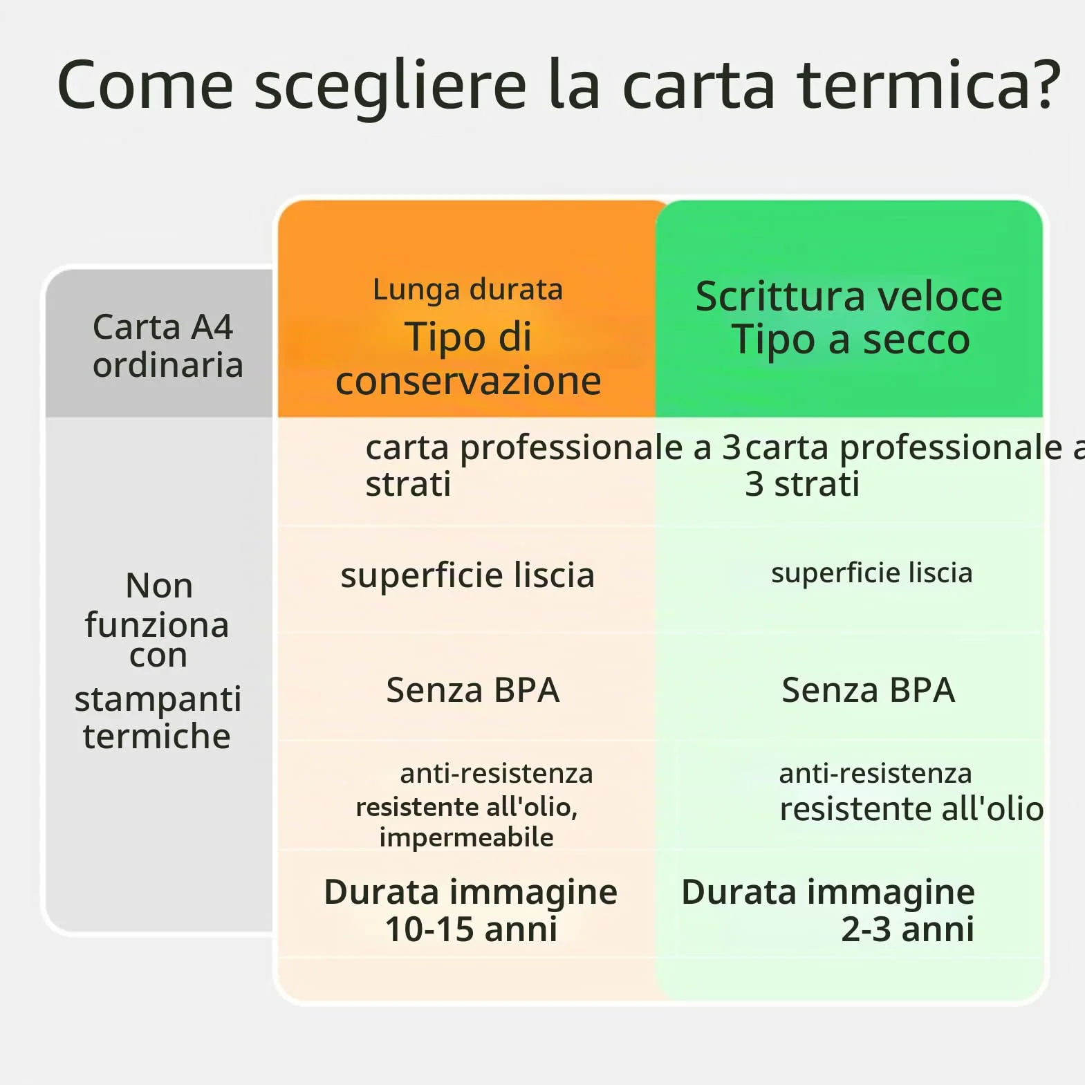 Bisofice 10 Rotoli Carta Termica A4, Compatibile con tutte le Stampante Termica Portatile, Senza BPA, per Foto Ricevute Memo File, Circa 22 fogli/rotolo