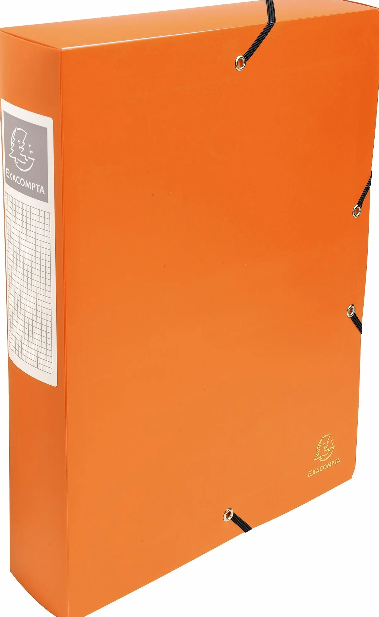 Exacompta 8 scatole archivio PP Opak A4 dorso 6 cm assortite