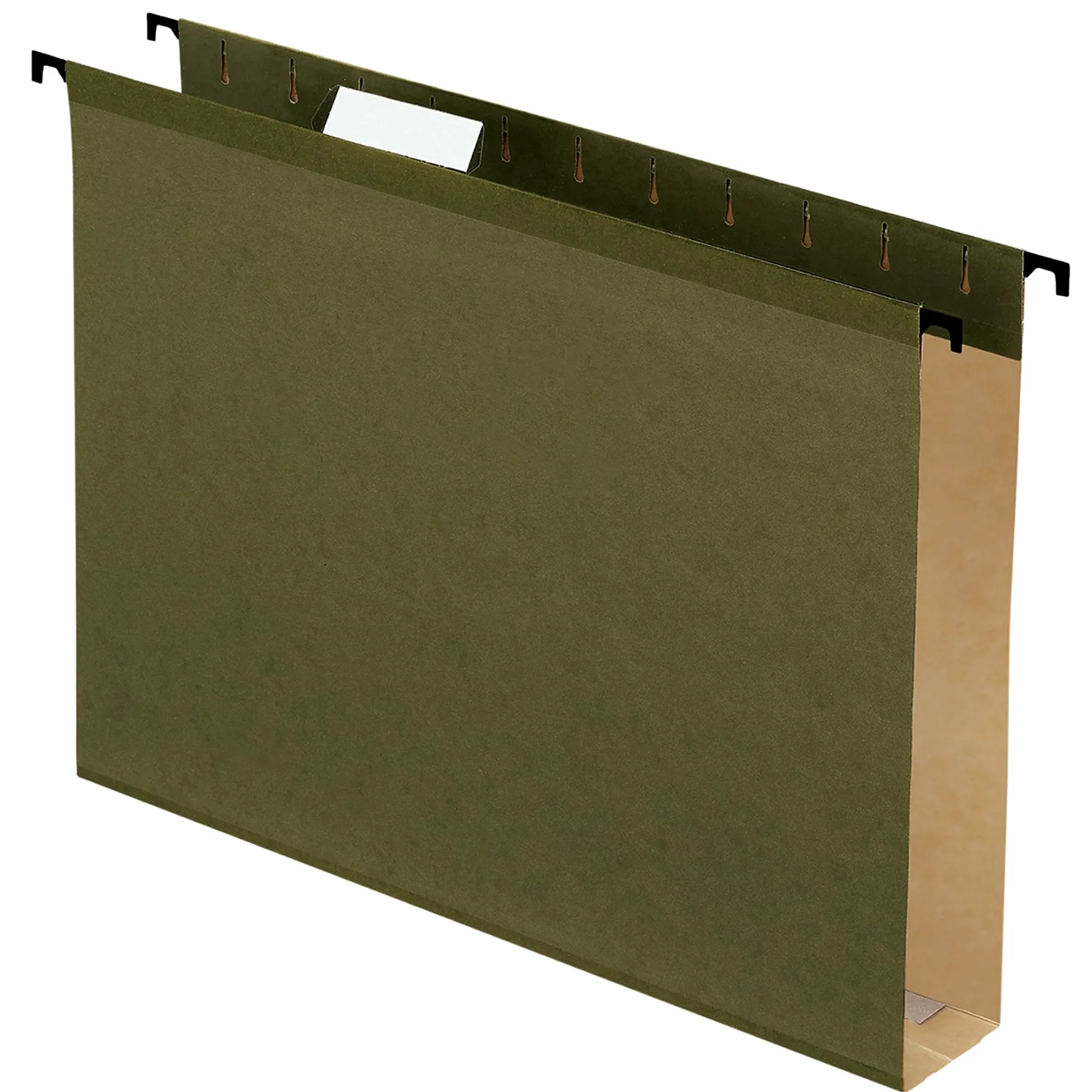 Pendaflex 10 cartellina rinforzato da appendere, standard Green (6152 x 2R)