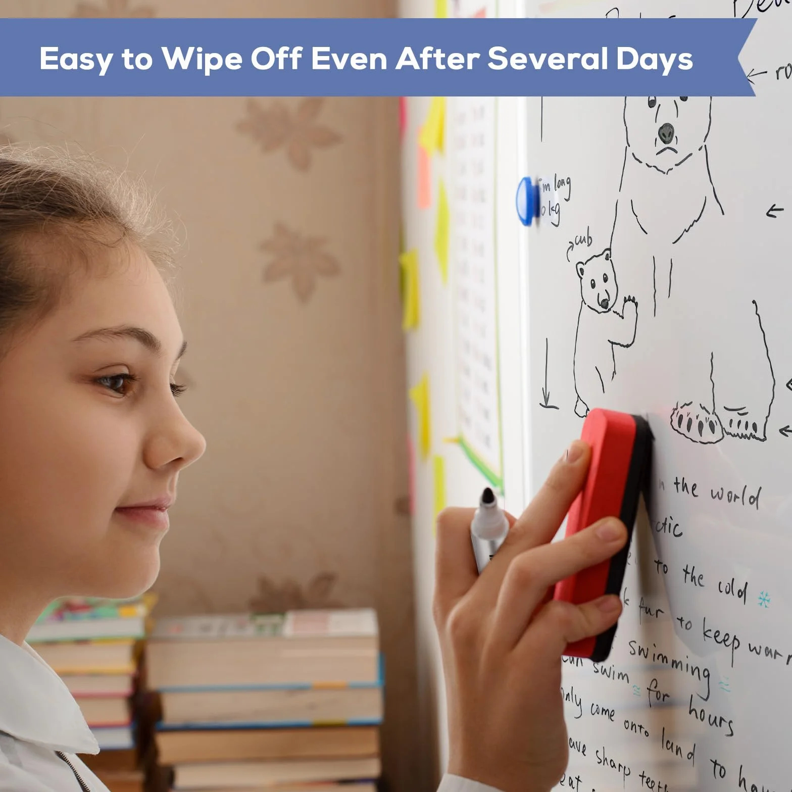 maxtek Pennarelli Lavagna Bianca Cancellabile Punta rotonda 2-3mm 3 colori inchiostro a basso odore