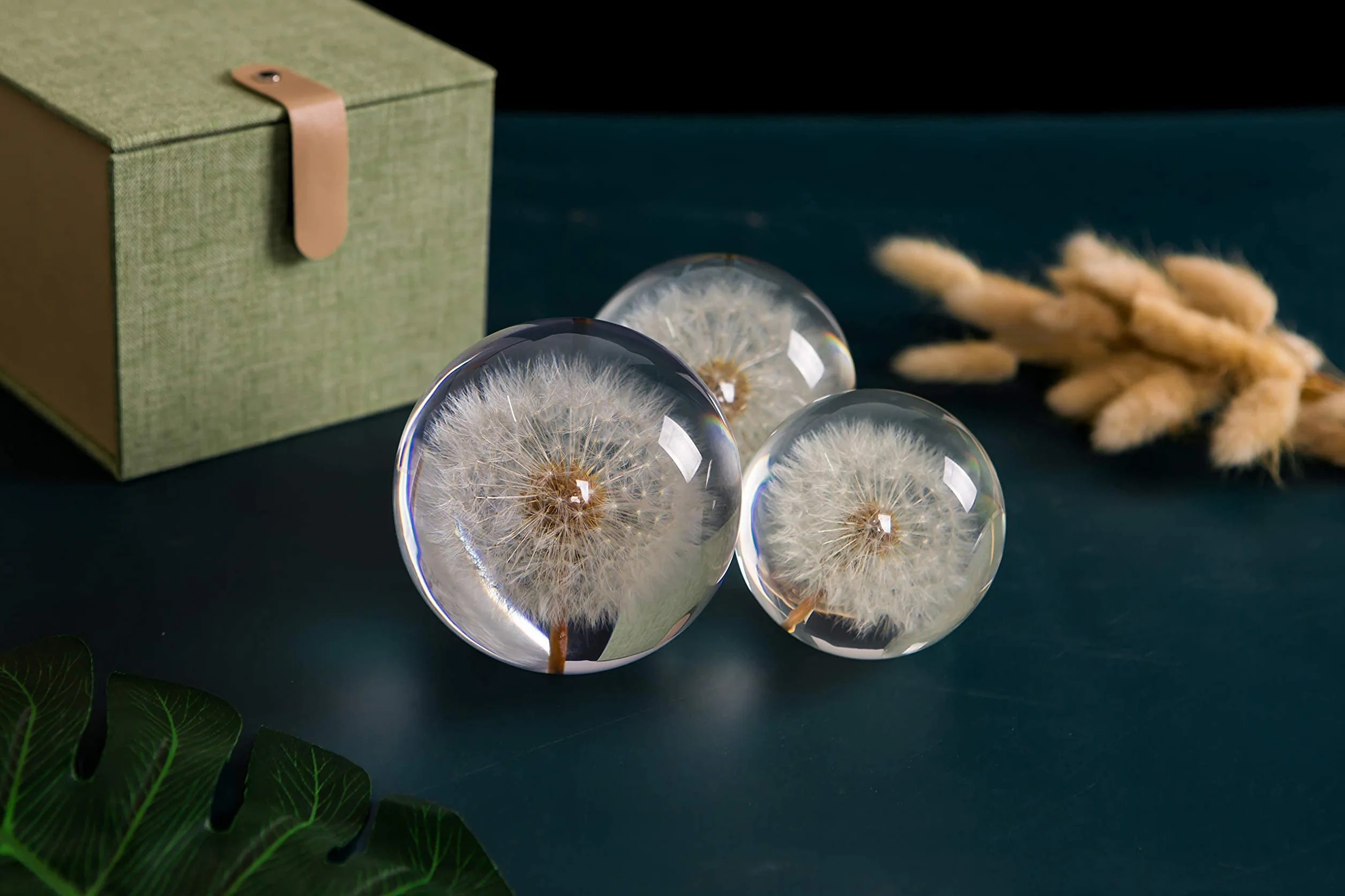 WEedsy Paperweight Dandelion Dream Ball. Palla di Cristallo dei Desideranti. Paperweight Unico Fatto di Dente di Leone. Il Regalo Perfetto. (9 cm) diametro-9cm