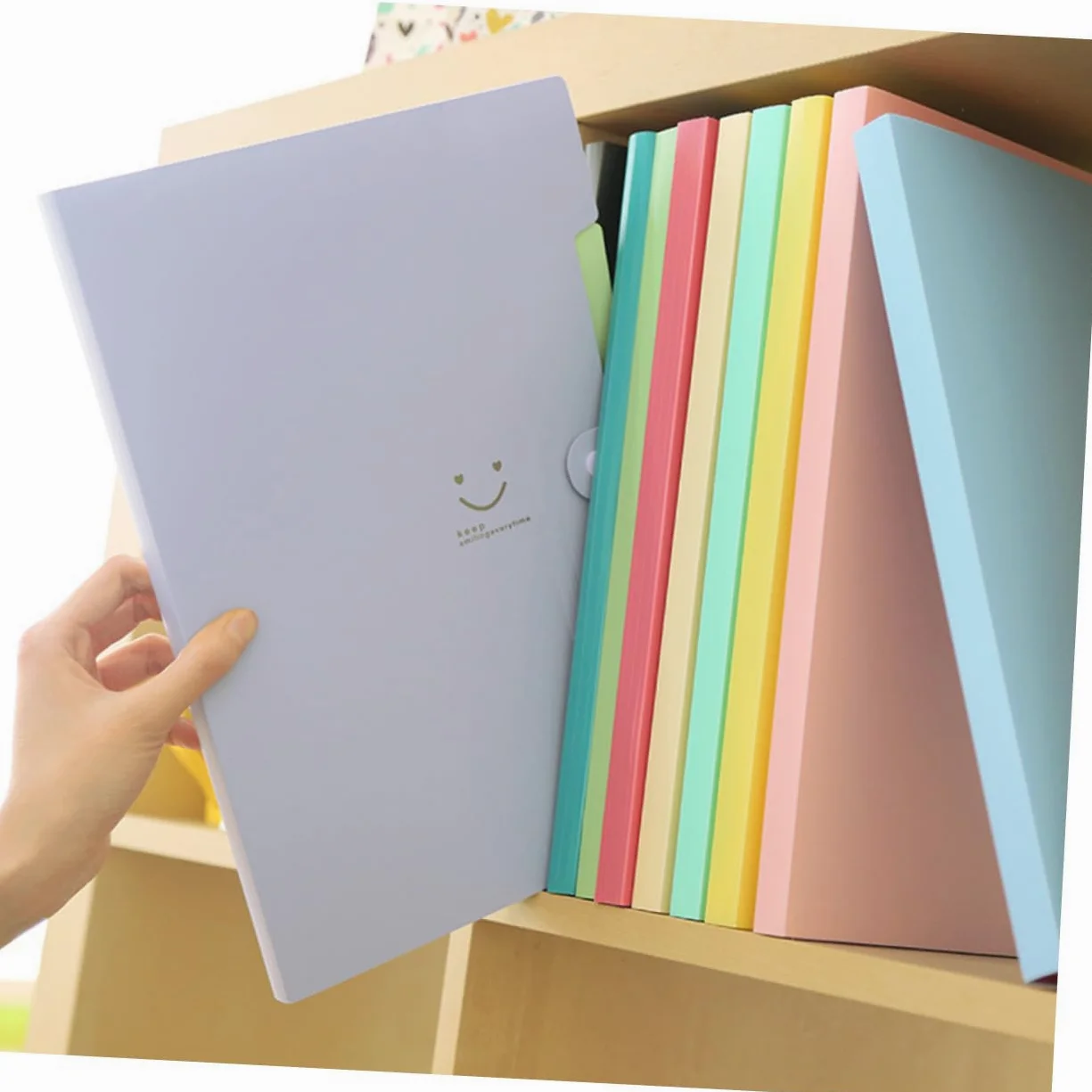Cartella Portadocumenti Espandibile a 5 Tasche Chiusura Snap | Set in Plastica, per Scuola e Ufficio, Organizer a Fisarmonica per Fogli Formato A4 e Letter