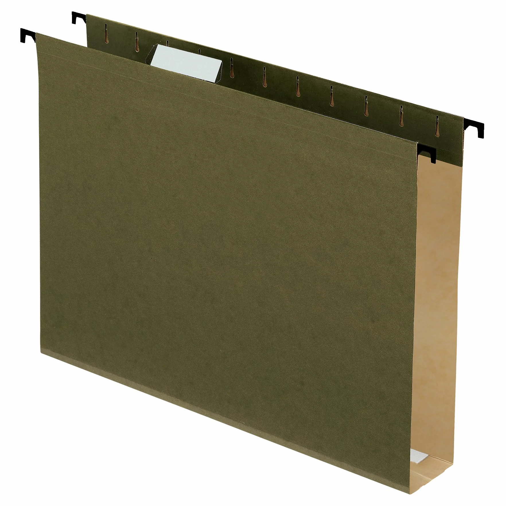 Pendaflex 20 cartellina rinforzato da appendere, standard Green (6153 x 2)