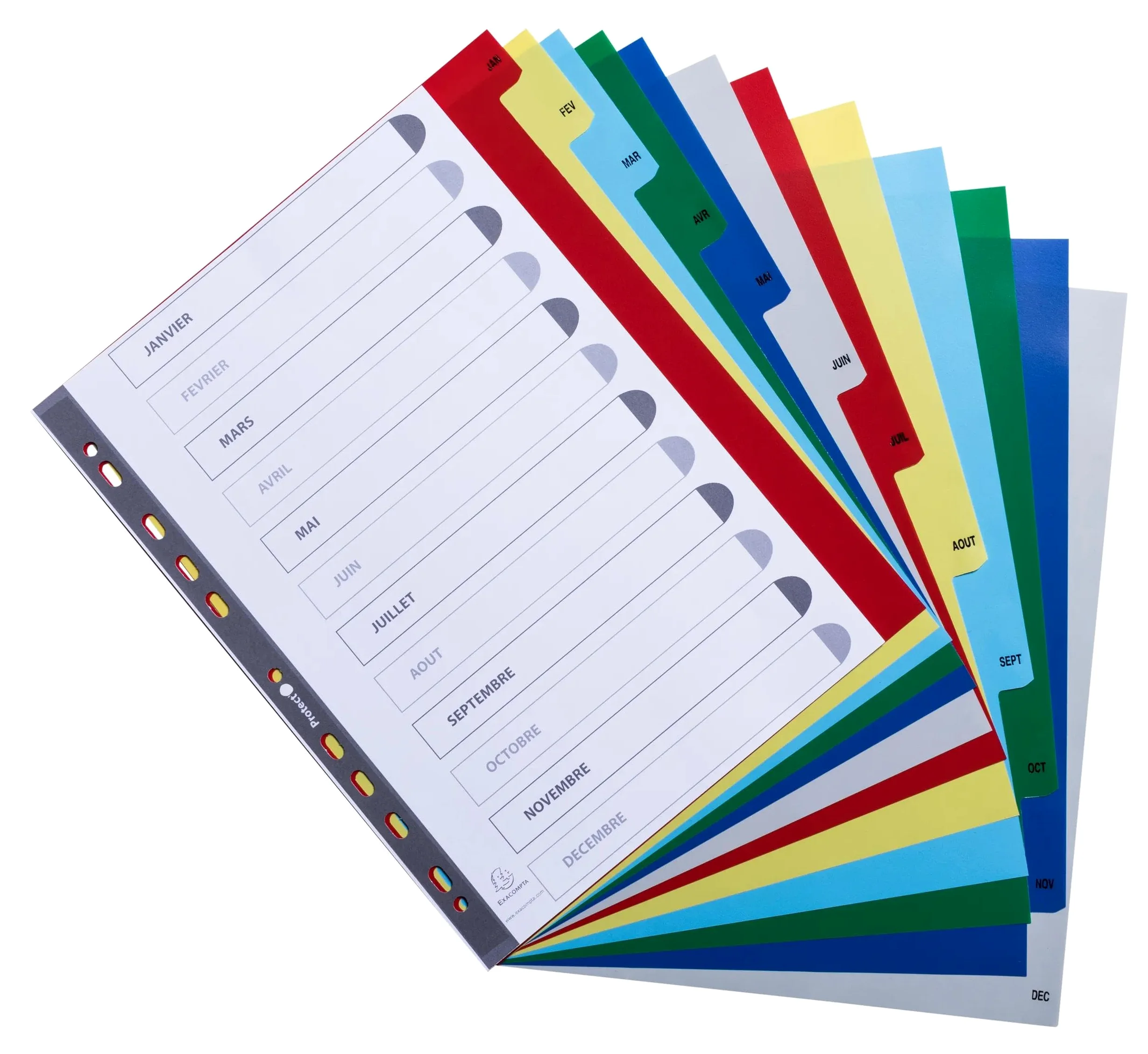 Exacompta - Rif. 92E - Cartone da 20 divisori in polipropilene con 12 schede stampate mensile da gennaio a dicembre a colori, pagina di indicizzazione imrpimabile, formato A4 maxi