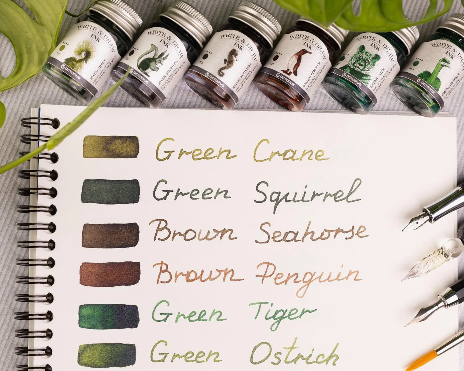 Octopus Write and Draw Ink Set FOREST, inchiostro impermeabile per scrittura e disegno, inchiostro per calligrafia, inchiostro da illustrazione per penna stilografica, 6x10 ml