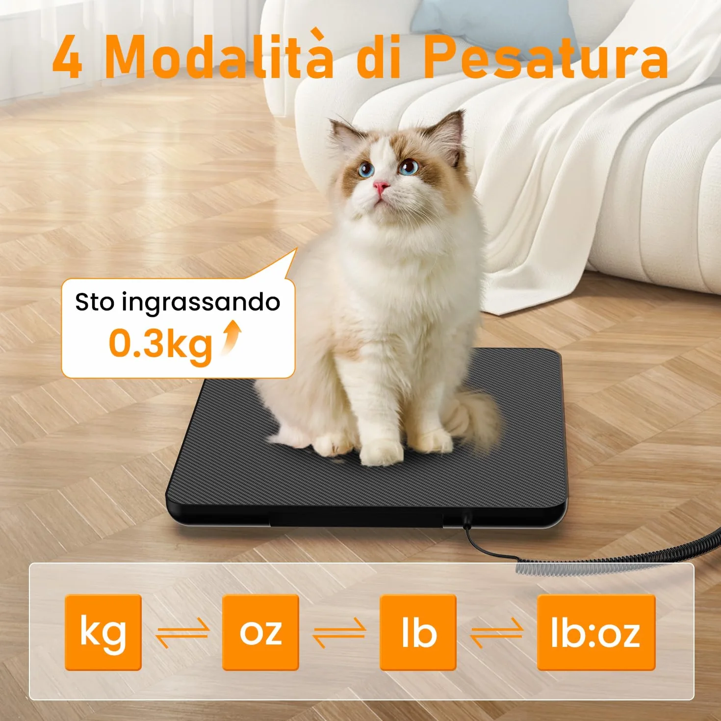 Bilancia Pesa Pacchi Digitale 200kg Professionale con Display LCD da Parete