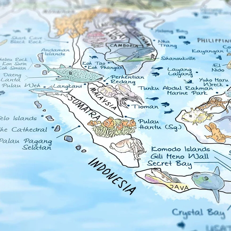 Dive Map by Awesome Maps - Mappa del mondo illustrata per gli appassionati di immersioni - riscrivibile - 97,5 x 56 cm