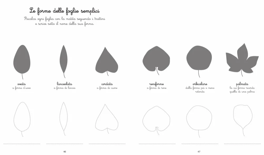 Le mie attività Montessori. Ediz. illustrata