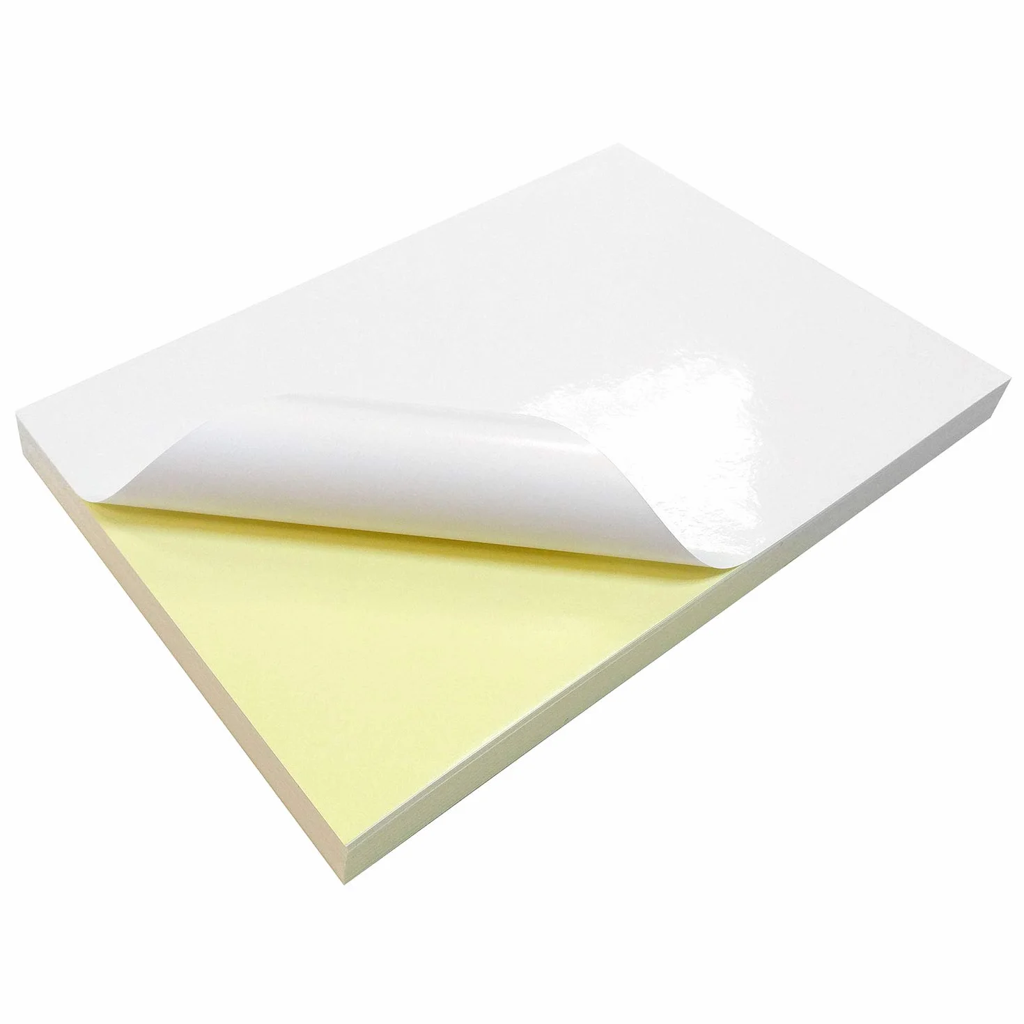 Evergreen Goods 50 fogli carta adesiva lucida A4 bianca autoadesiva stampabile getto d'inchiostro laser