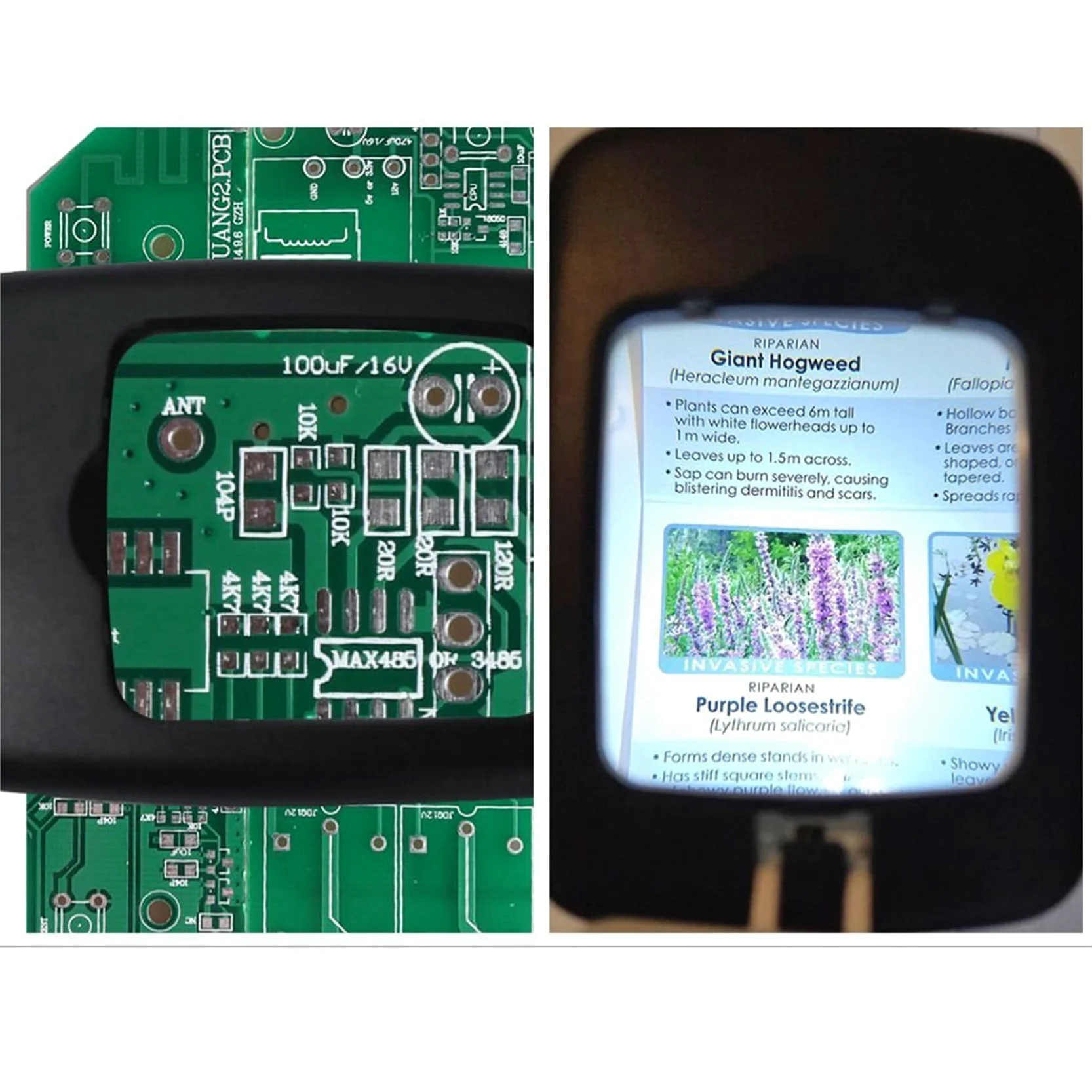 3pz Lampada da Tavolo Illuminata con Lente D'Ingrandimento con Luce Sul Supporto，Lente di Ingrandimento Tascabile Portatile con Visiera Pieghevole 3X per Lettura，Hobby