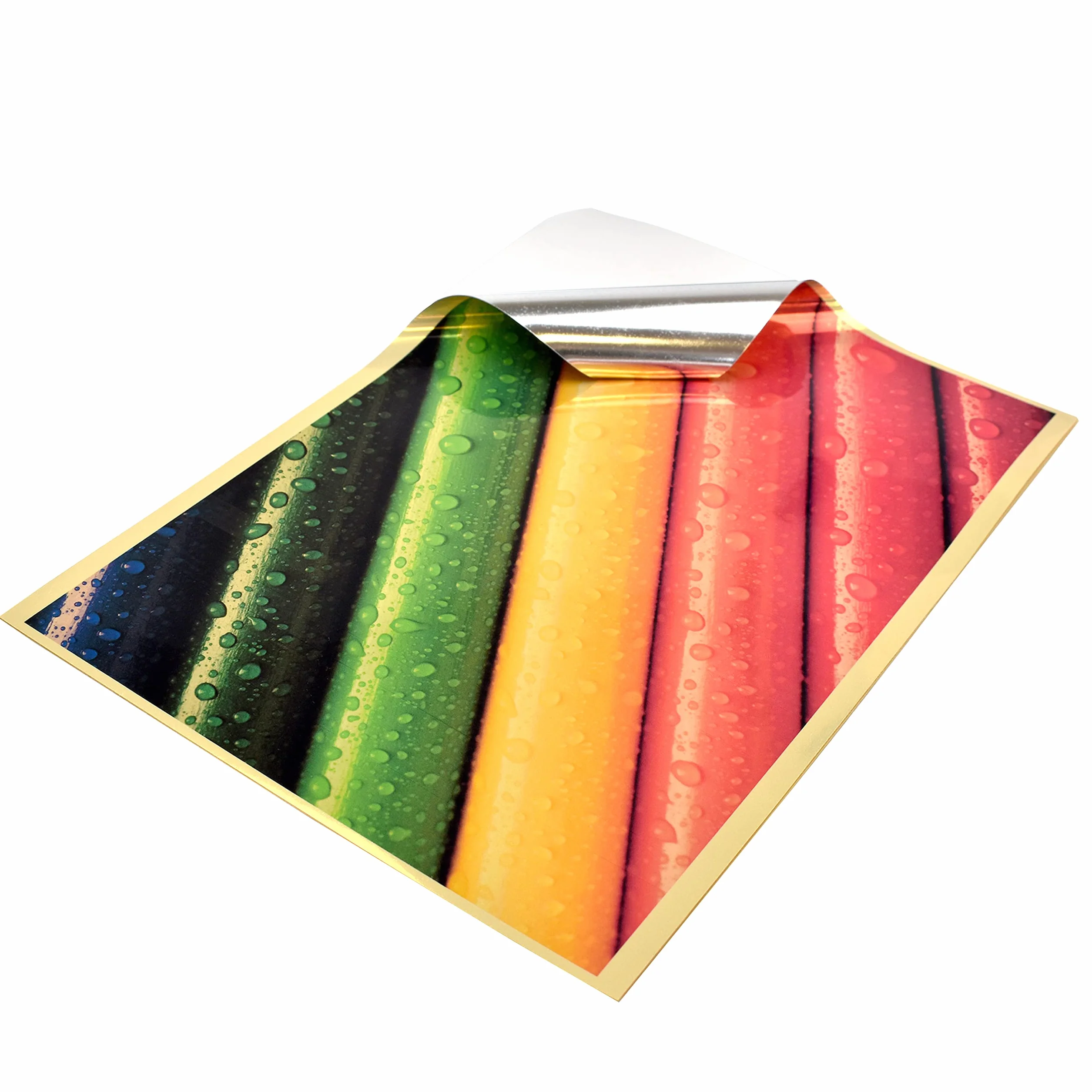 Evergreen Goods A4 10 Fogli Carta Adesiva in Vinile Lucido Oro per Stampante Laser a Getto D'inchiostro Impermeabile