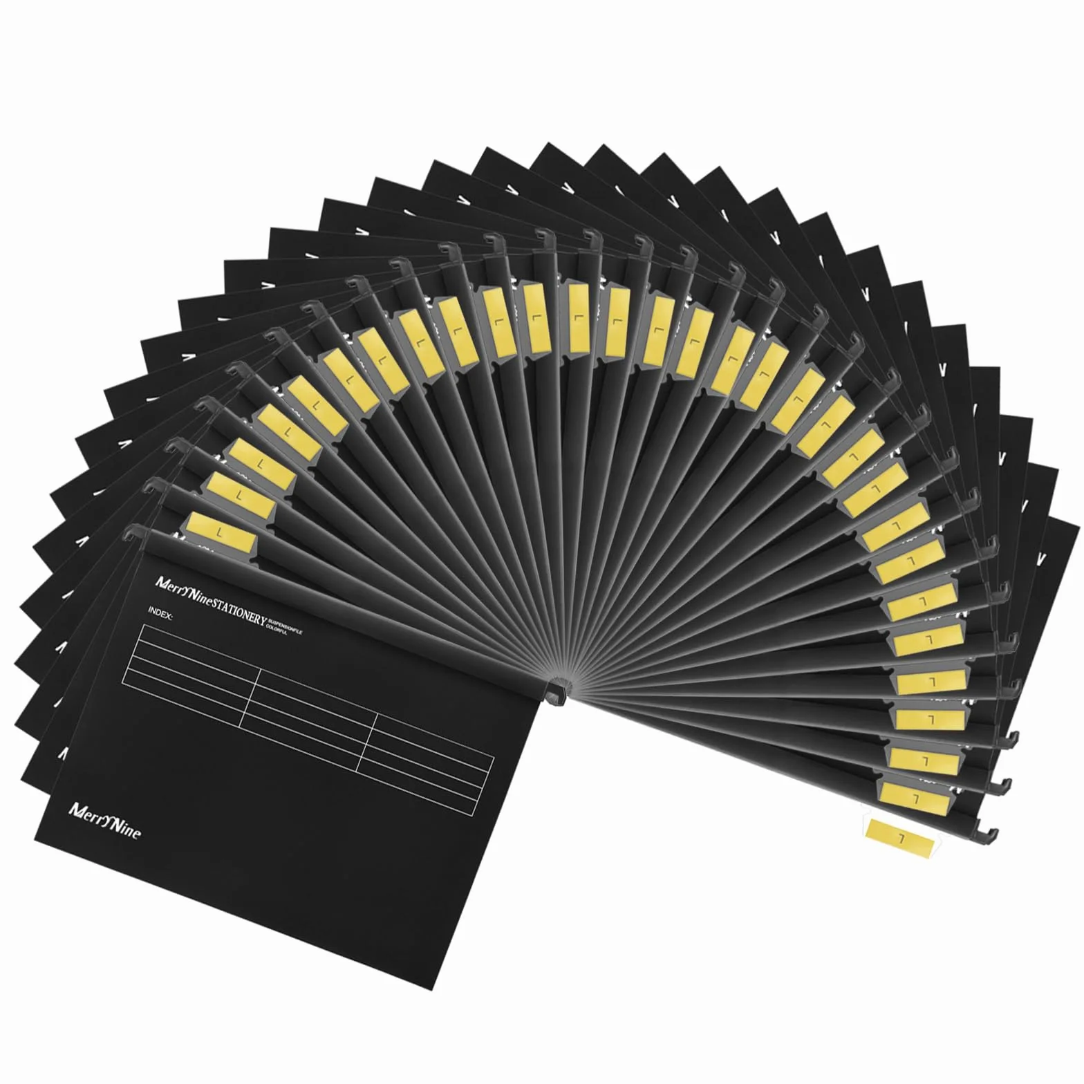 MerryNine - Cartelle sospese A4, 30 pezzi, in polipropilene, con linguette e inserti per carte, per scuola, casa, lavoro, ufficio (30, nero)