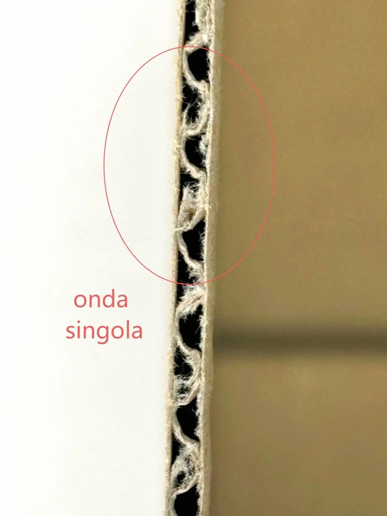Scatole per Trasloco e Spedizioni, Cartone Onda Singola, 40x30x15 cm set da 40 pezzi (40 pezzi, 40x30x15 cm)