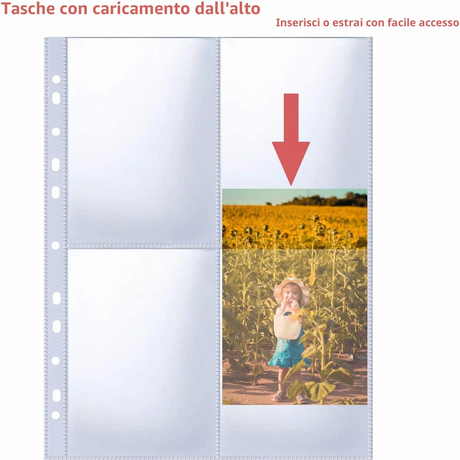 A4 Foto Maniche per Raccoglitore ad Anelli, Guaine Trasparenti per Cartoline, 4 Scomparti, Proteggi Pagine Fotografiche (109x153 mm), 240 Pezzi