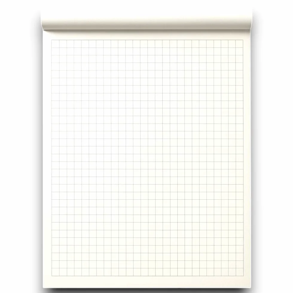 Aurora Store - 5 BLOCCHI LAVAGNA A FOGLI MOBILI da 20 FOGLI 70x100 cm RIGATURA A QUADRETTI 80 gr. per lavagna cavalletto CARTA BIANCA QUALITA'FORATURA UNIVERSALE per tutte le lavagna