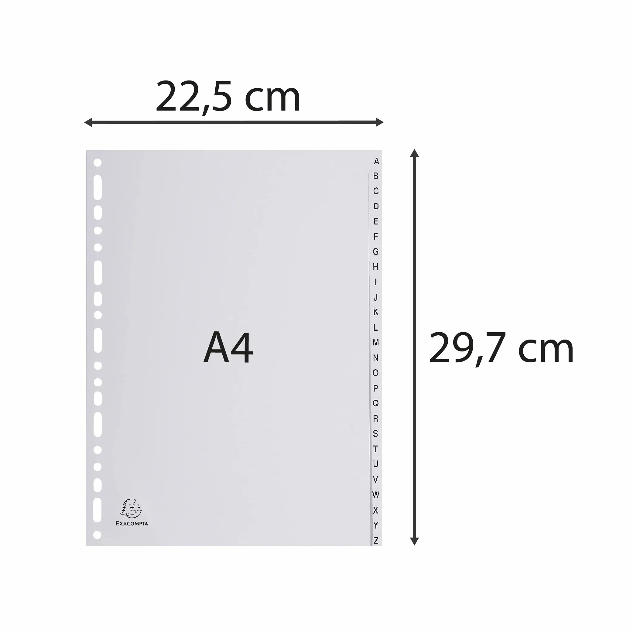 Exacompta Divisorio grigio polipropilene riciclato 26 tasti alfabetici A-Z A4 22,5x29,7cm Ange Bleu