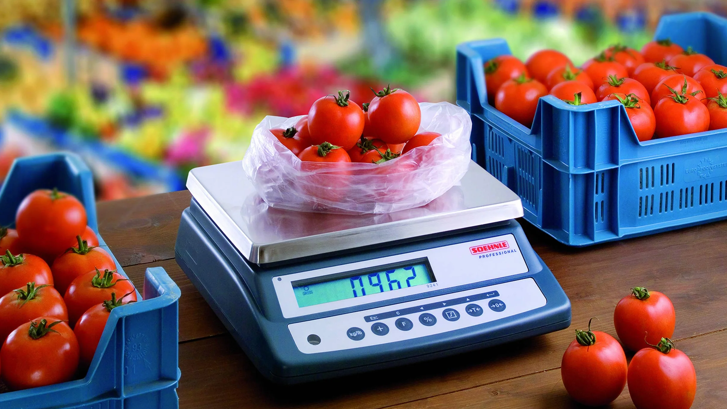 SOEHNLE PROFESSIONAL Bilancia compatta 9241 Max.30kg - 1g