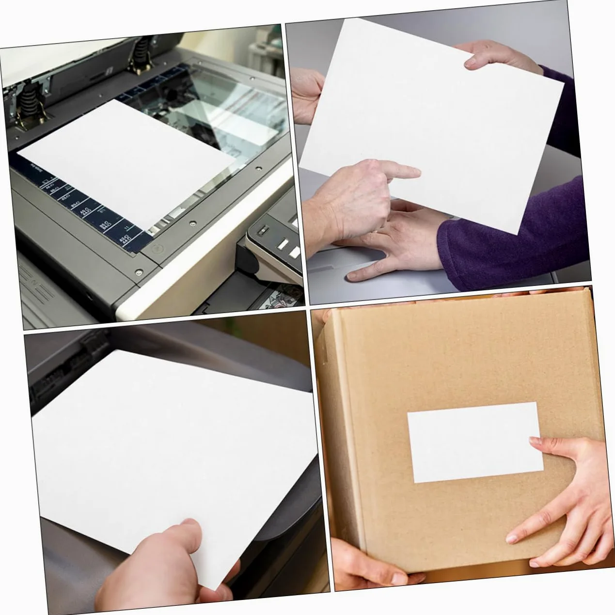 Etichette Adesive Autoadesive Stampabili A4 per Stampanti Laser e Getto D'inchiostro, Carta Termica Bianca Resistente All'abrasione, 100 Fogli per Ufficio e Packaging