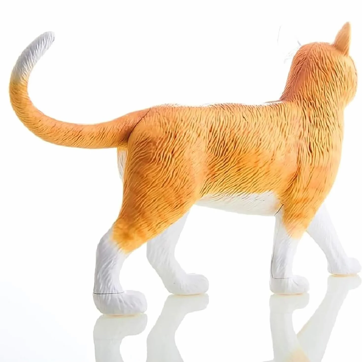 Modello Anatomico di Gatto 4D 28 Pezzi Kit di Modelli di Anatomia dello Scheletro di Gatto Arancione 4D Il Modello, Lungo 30 Cm, Contiene 28 Organi E Parti del Corpo Staccabili