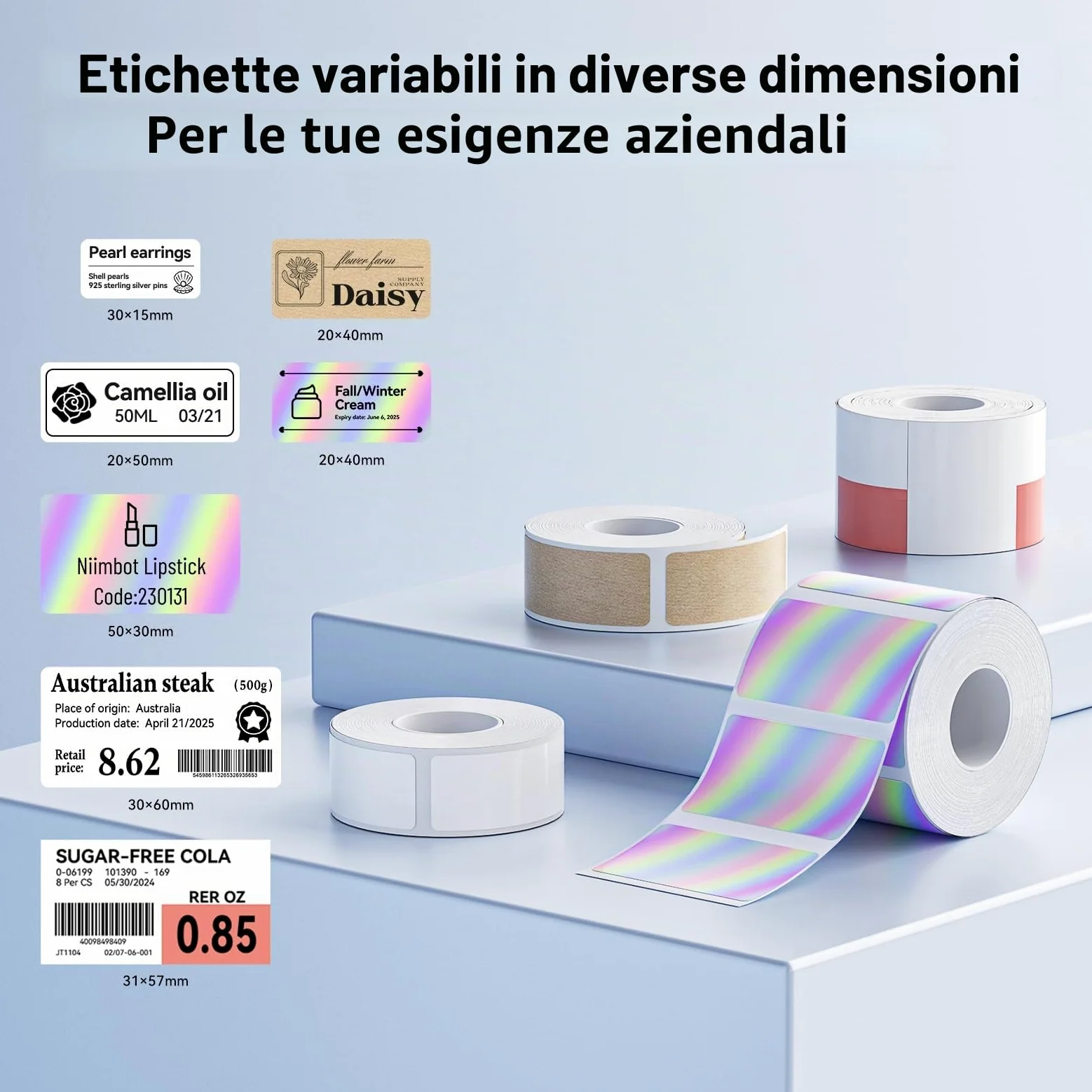 NIIMBOT Stampante per etichette M2 + etichette, supporta da 8 a 10 anni e da -20 °C a 100 °C, non sbiadisce, per casa, ufficio, esterno, lavoro