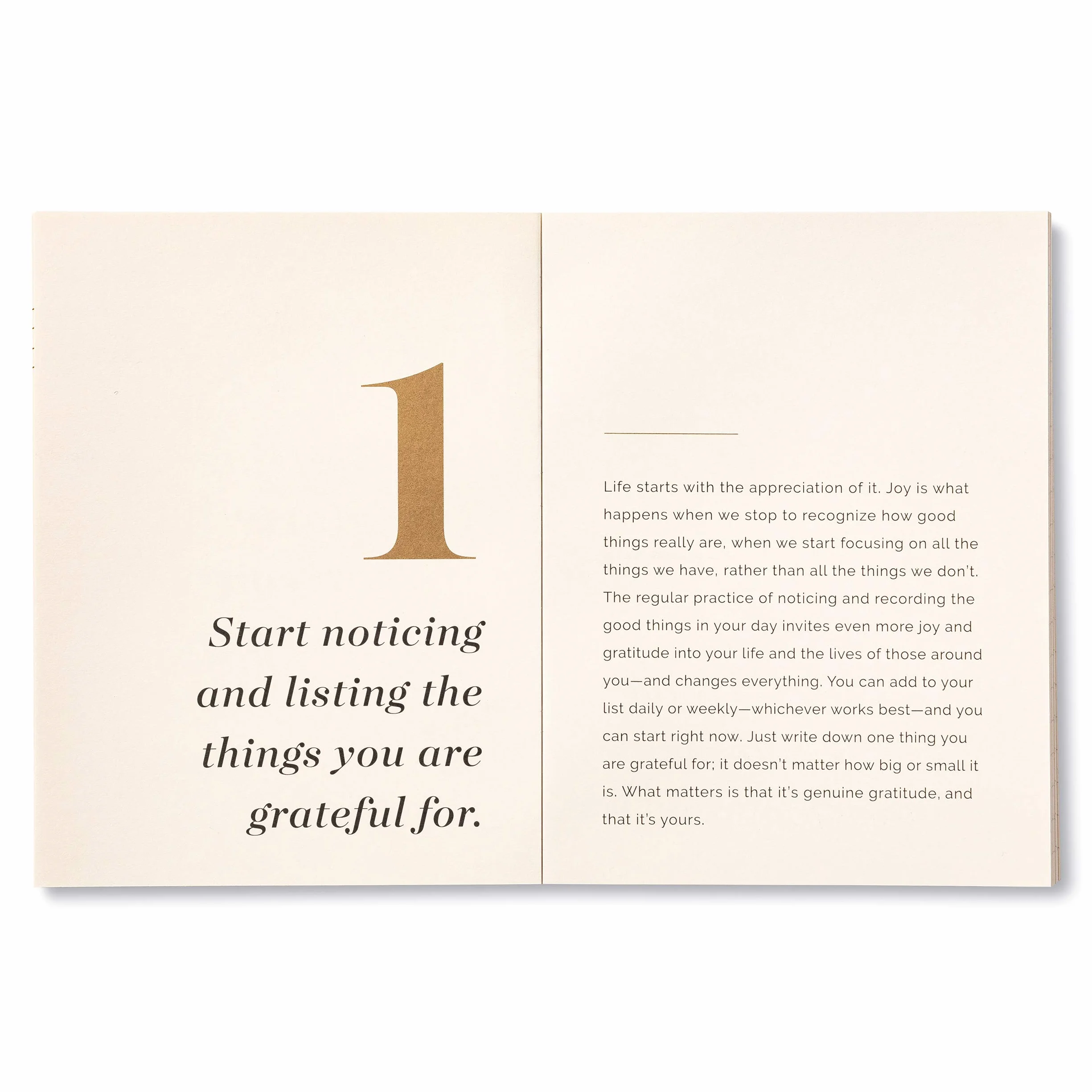 Compendium Kit di biglietti di ringraziamento 52 settimane gratitudine