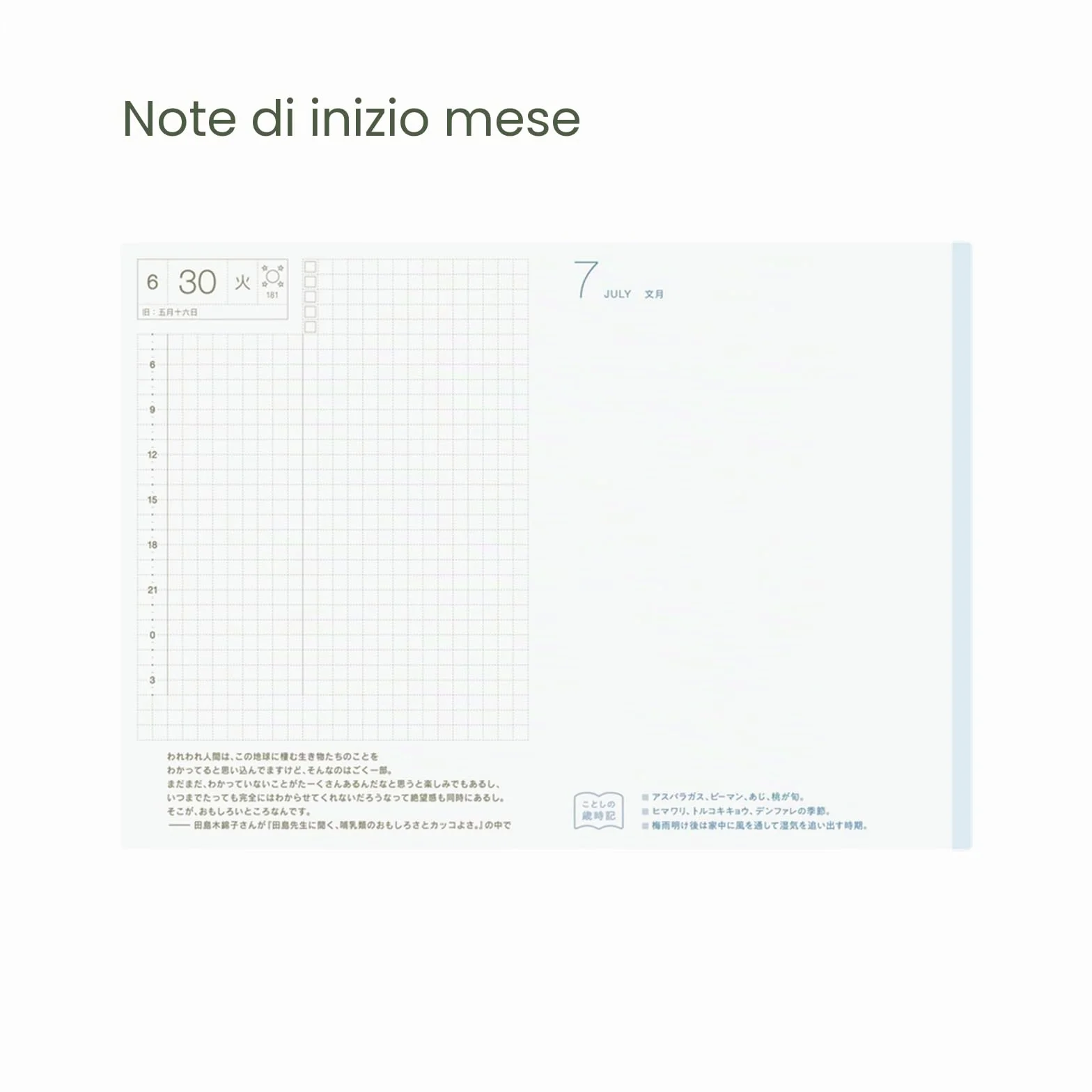 Hobonichi Techo 2026 - Libro originale, formato A6, giapponese, giornaliero, inizio gennaio, inizio lunedì, pianificatore