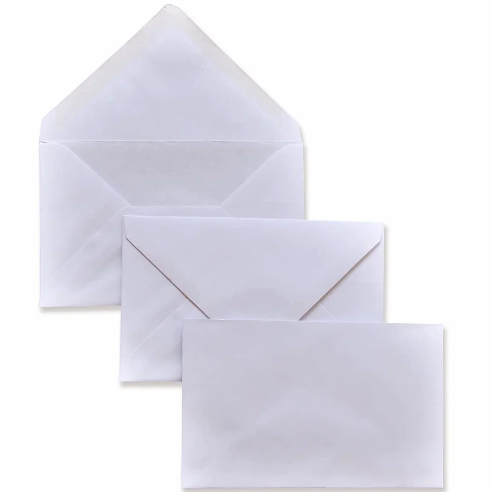 1000 Buste VISITA - Commerciale Gommata F.to 90x140 in carta uso mano FSC 80 gr. - Pigna Envelopes