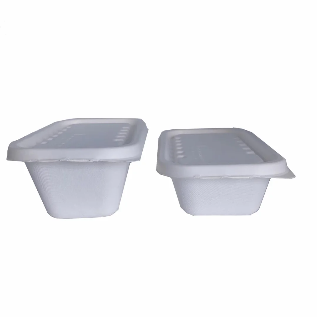 Vaschette in cellulosa 750-1000 ml con coperchio compostabili 100% take away bio 50 pz