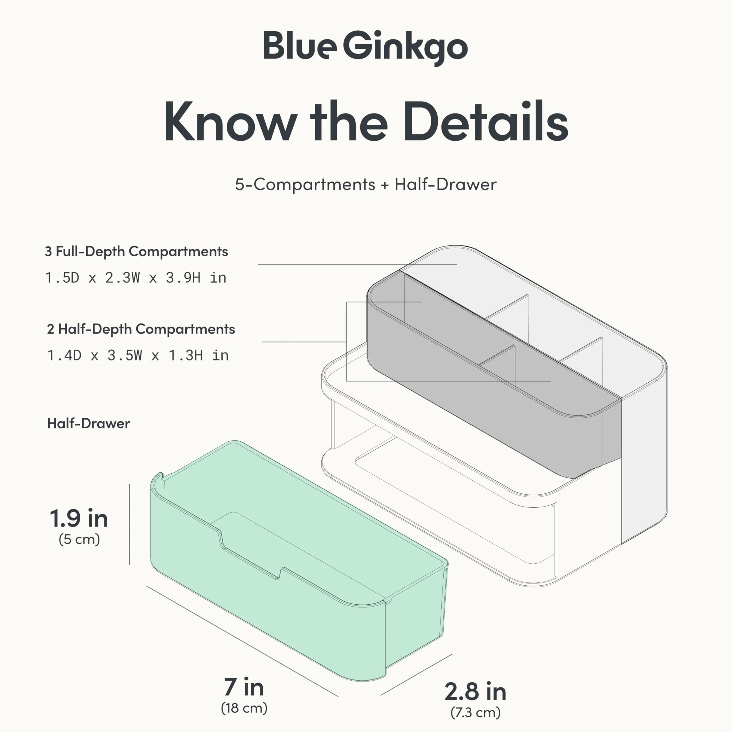 BLUE GINKGO Organizer Compatto da Scrivania 5 Scomparti Cassetto Parziale Verde Made in Korea