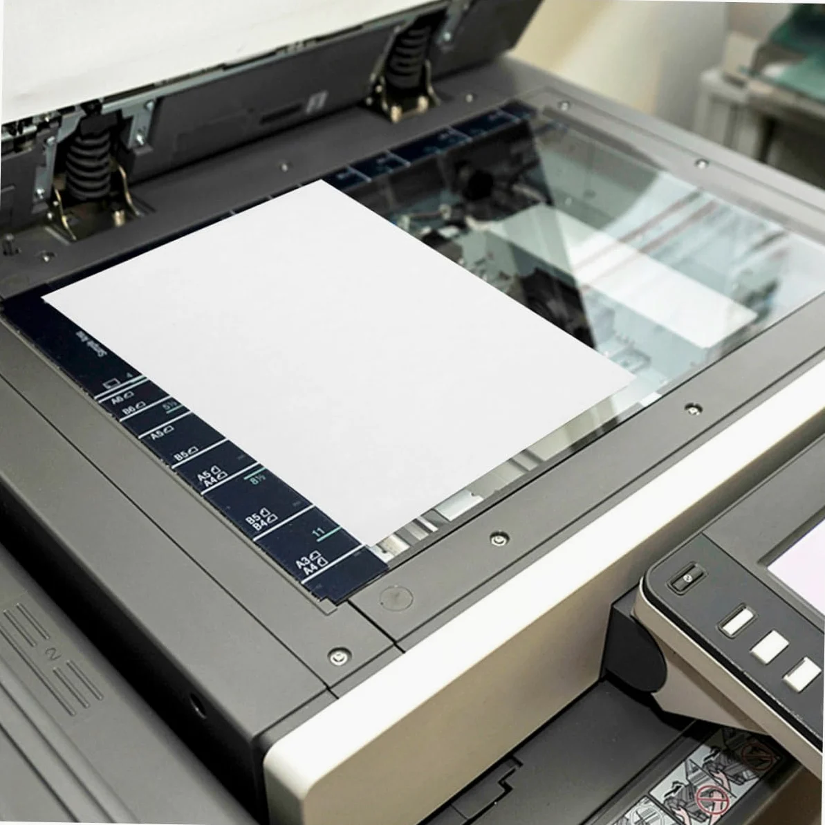 Gadpiparty Carta Adesiva Termica Stampabile per Etichette Riutilizzabili 100 Fogli Chiari per Stampanti Laser e Inkjet