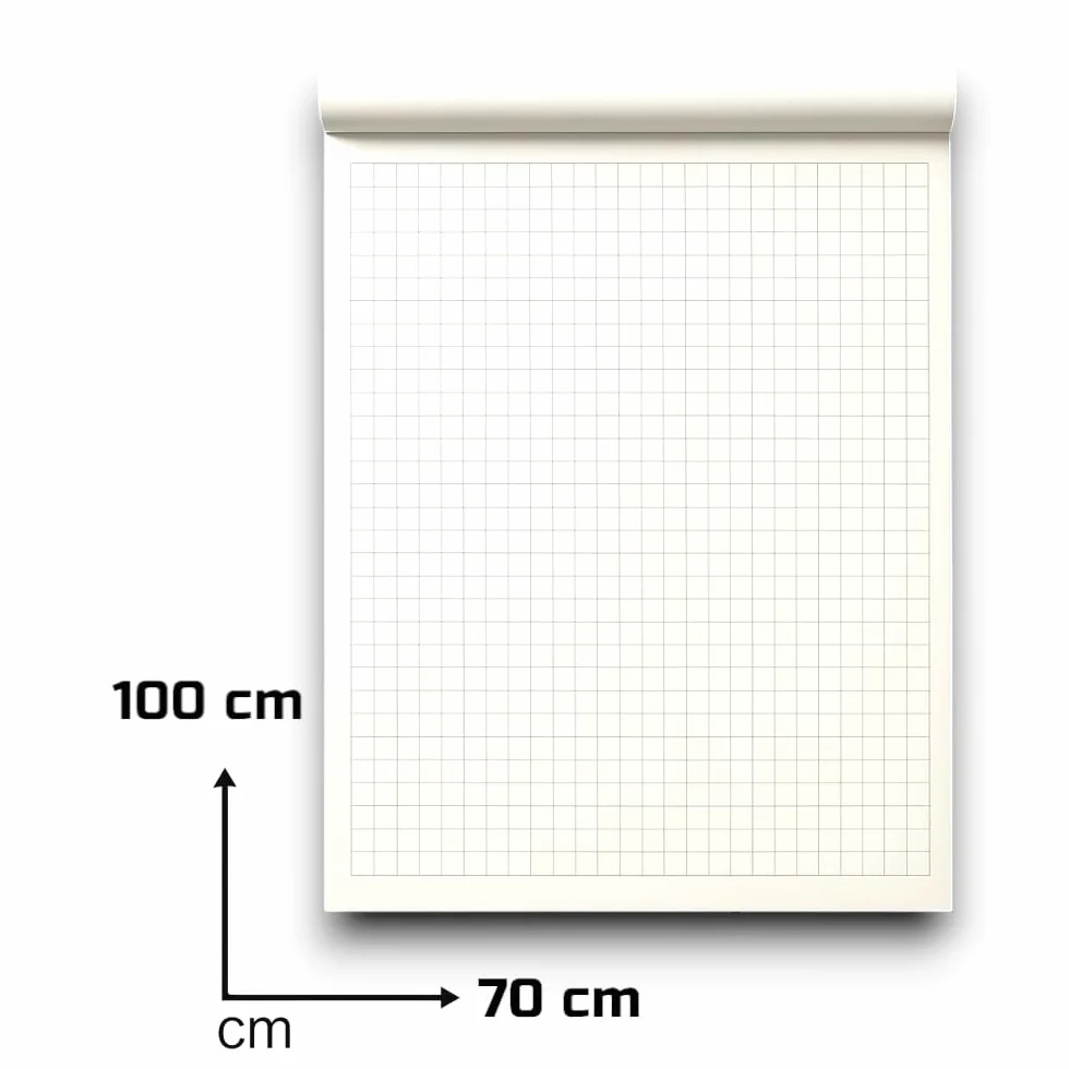 Aurora Store - 5 BLOCCHI LAVAGNA A FOGLI MOBILI da 20 FOGLI 70x100 cm RIGATURA A QUADRETTI 80 gr. per lavagna cavalletto CARTA BIANCA QUALITA'FORATURA UNIVERSALE per tutte le lavagna