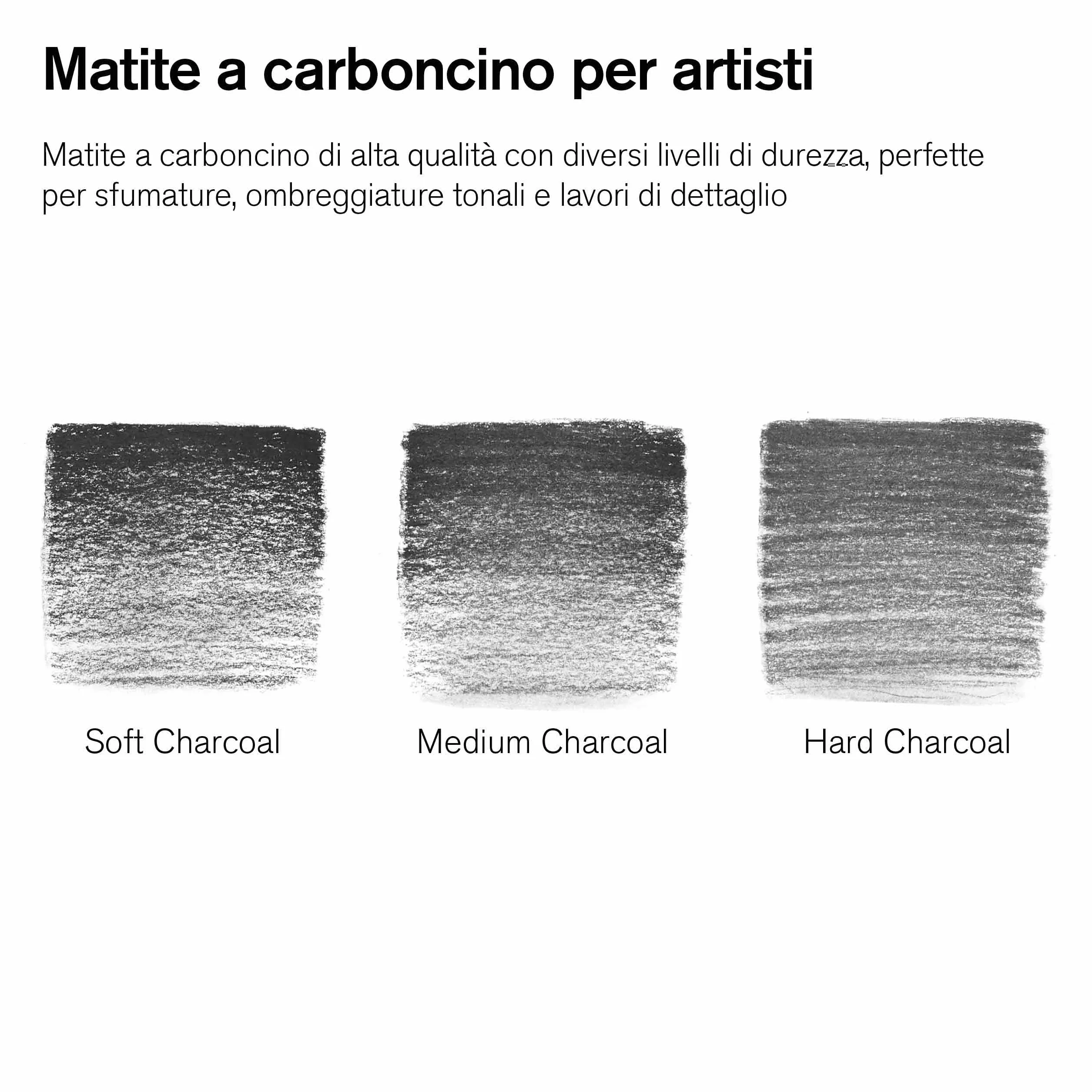 Winsor & Newton Studio Collection Matite Carboncino Scatola In Metallo 6 Pezzi