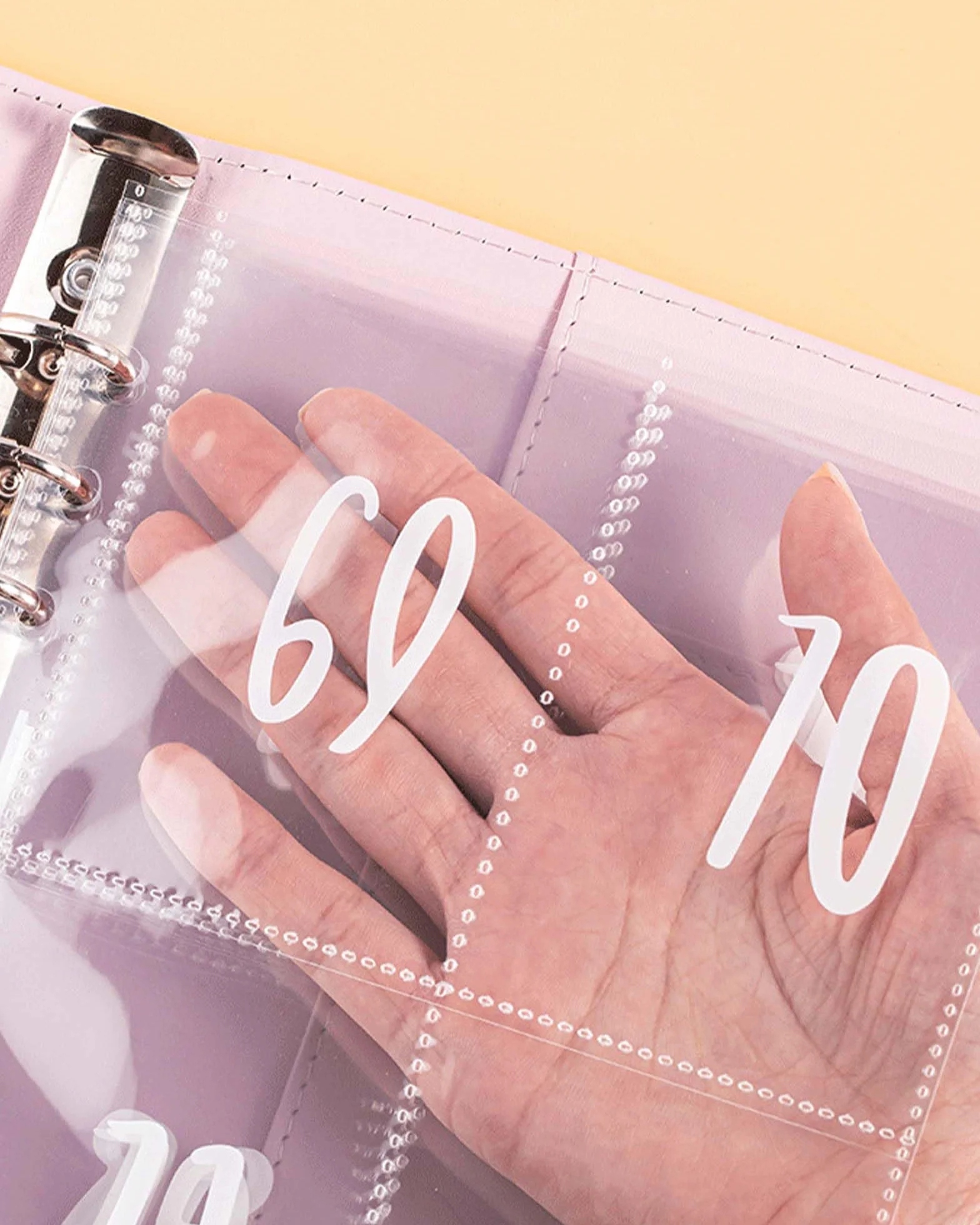JEJA Budget Planner 5,050 euro Fogli di Bilancio Etichette Adesive Penne Cancellabili Rosa