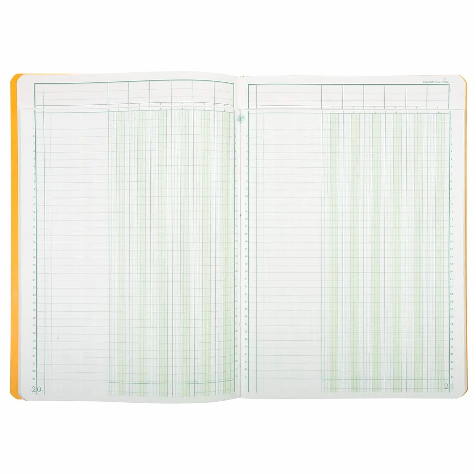 Piqure 29,7x21cm a tete paresseuse 6 colonnes sur 1 page 34 lignes 80pages